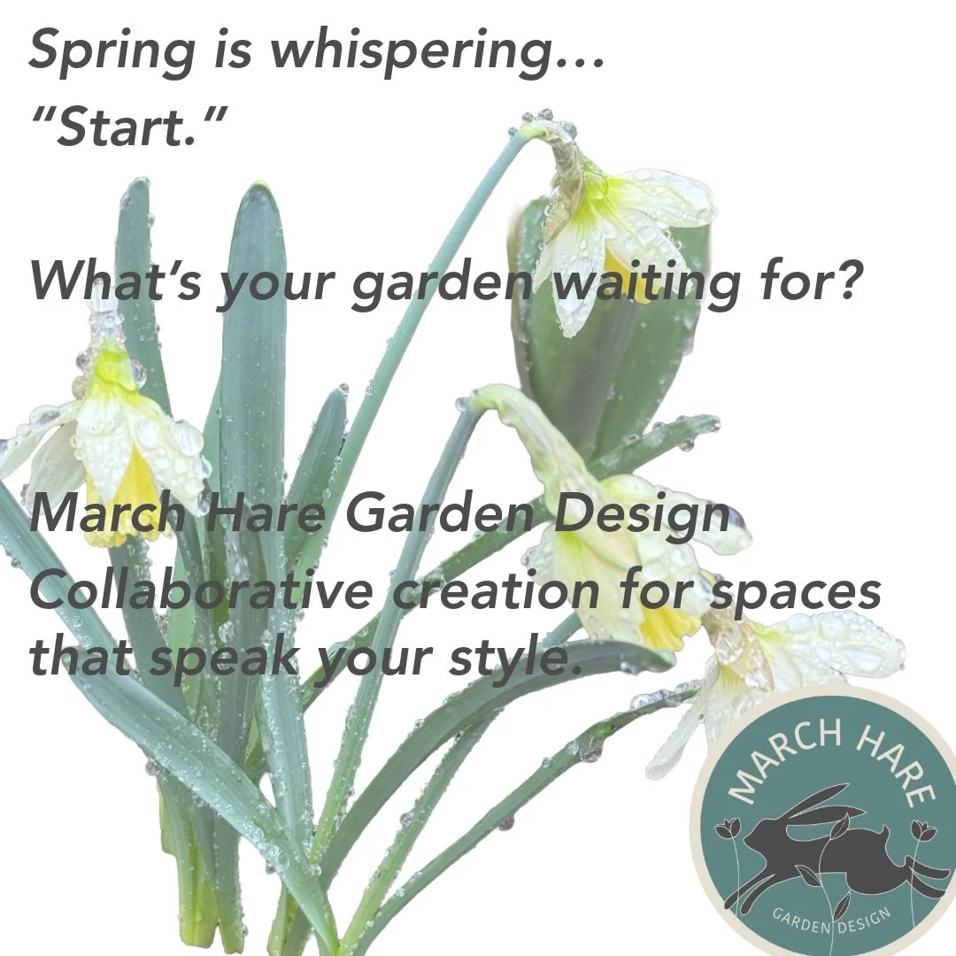 Spring is whispering&hellip;
&ldquo;Start.&rdquo;

What&rsquo;s your garden waiting for?

March Hare Garden Design
Collaborative creation for spaces that speak your style.
#marchharegardendesign
#followthehare 
#gardendesign