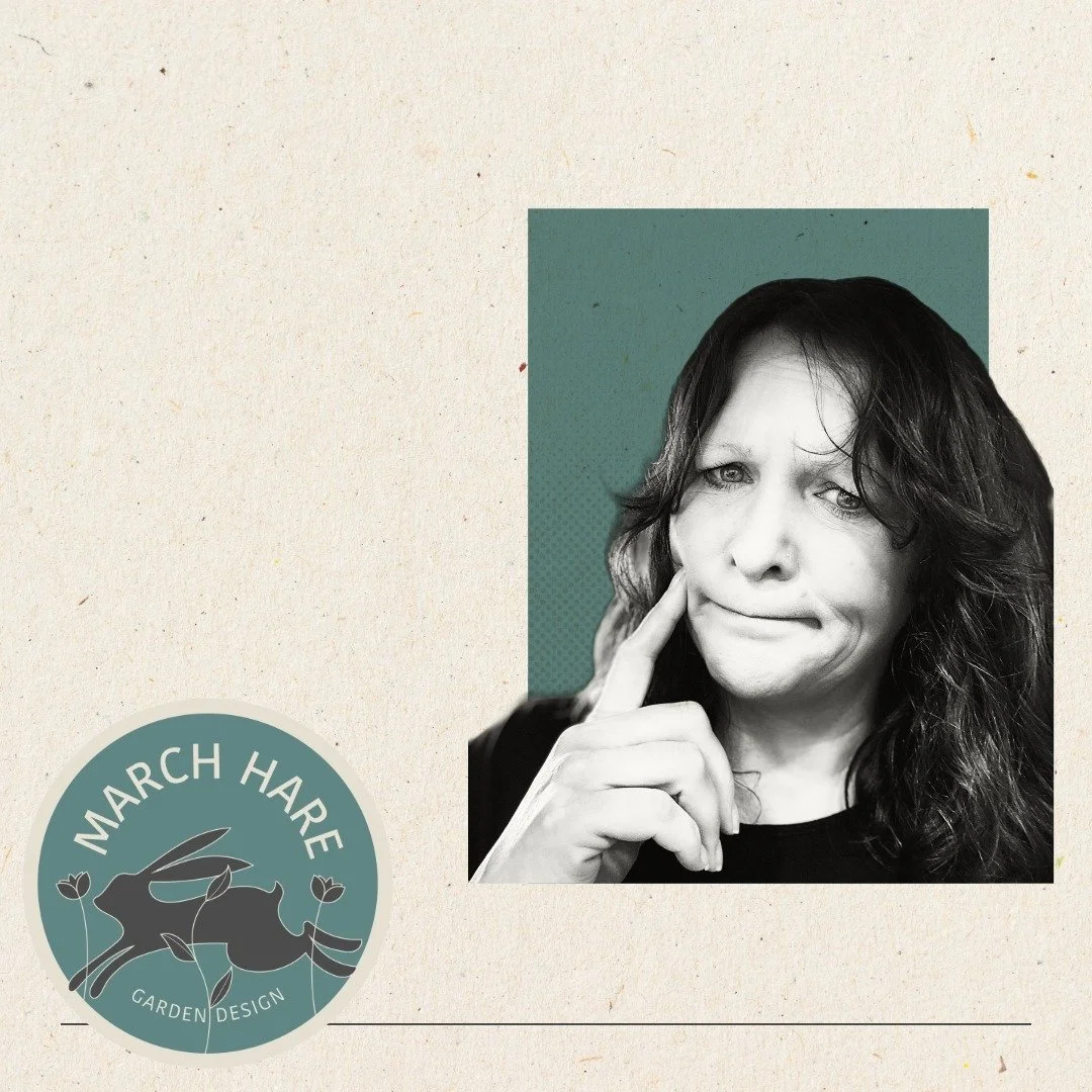 Estate &amp; Facilities Managers &mdash;
many grounds function, but don&rsquo;t yet add value.
I work with estate management teams across Herts &amp; Bucks to improve underperforming outdoor spaces through planting-led transformation &mdash; creating