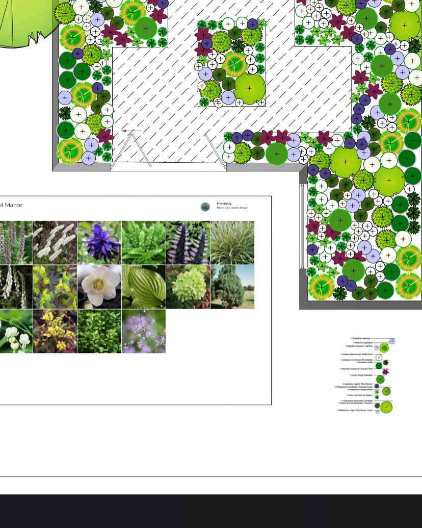 Landscape design plan with color-coded plant layout and plant photos.