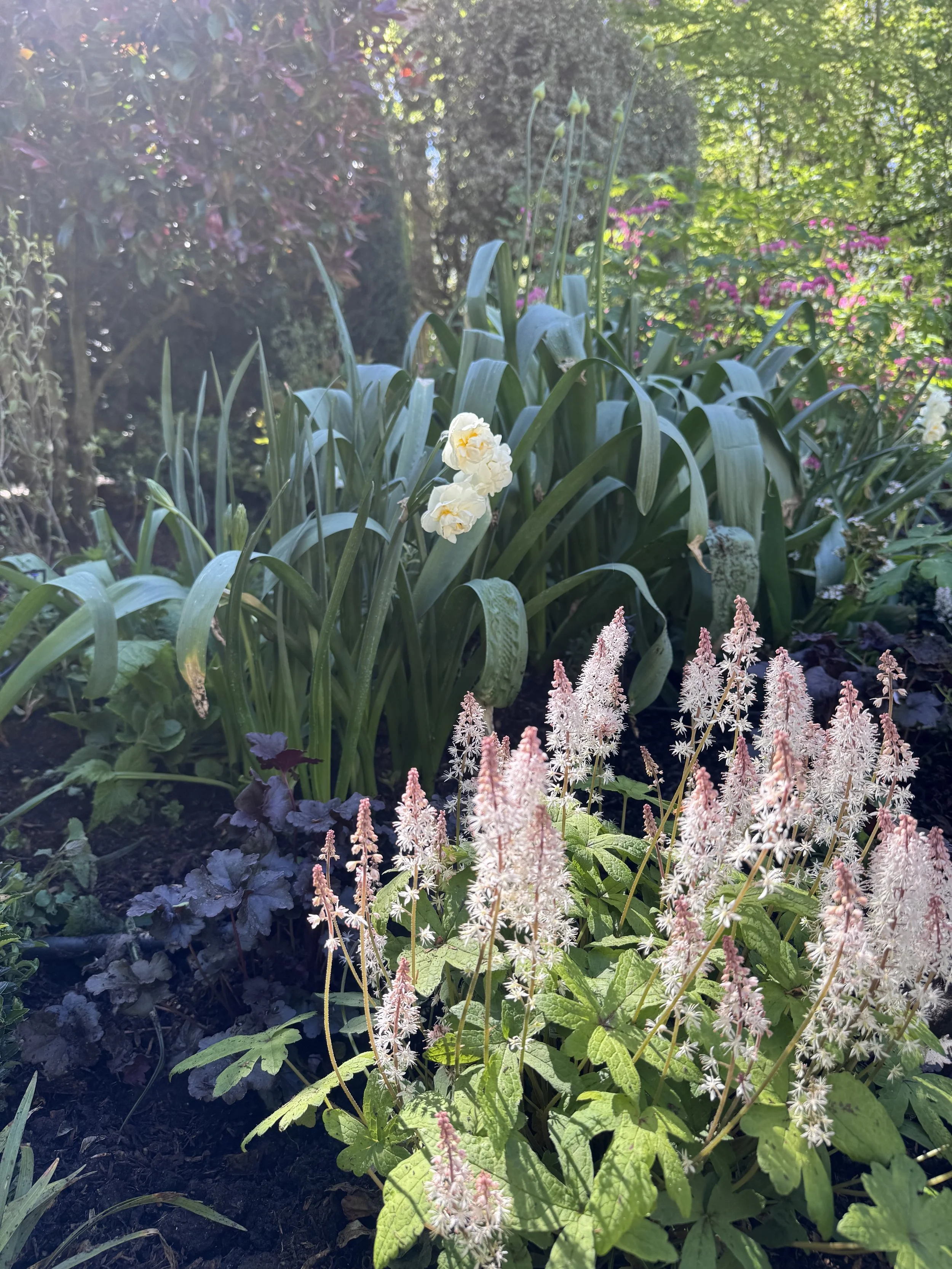 IMG_4888.jpeg