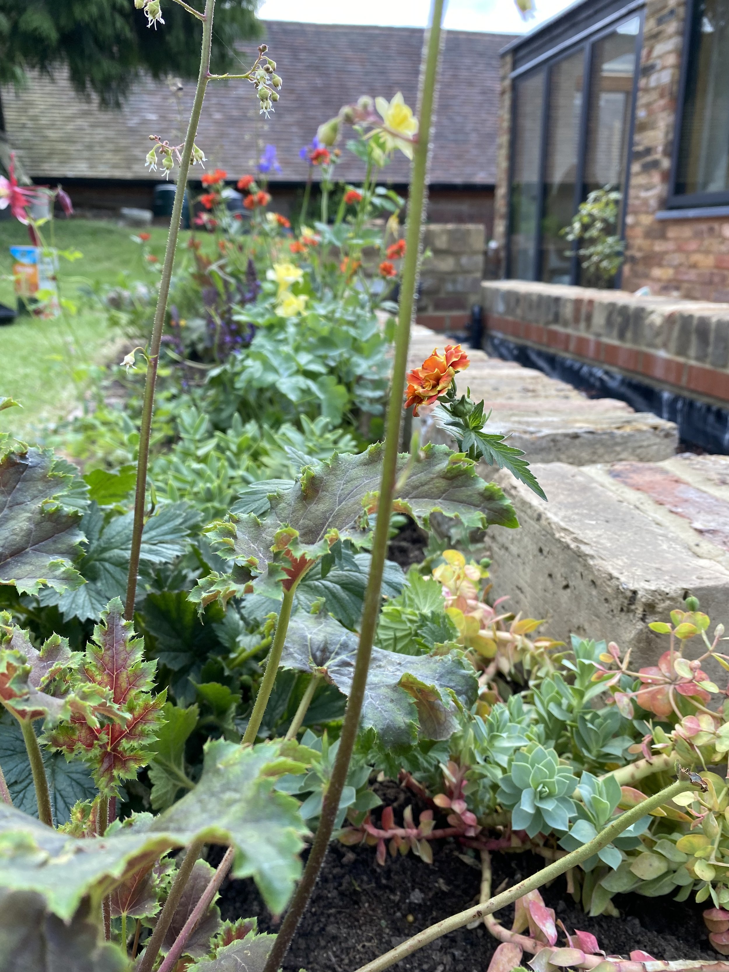 soft landscaping