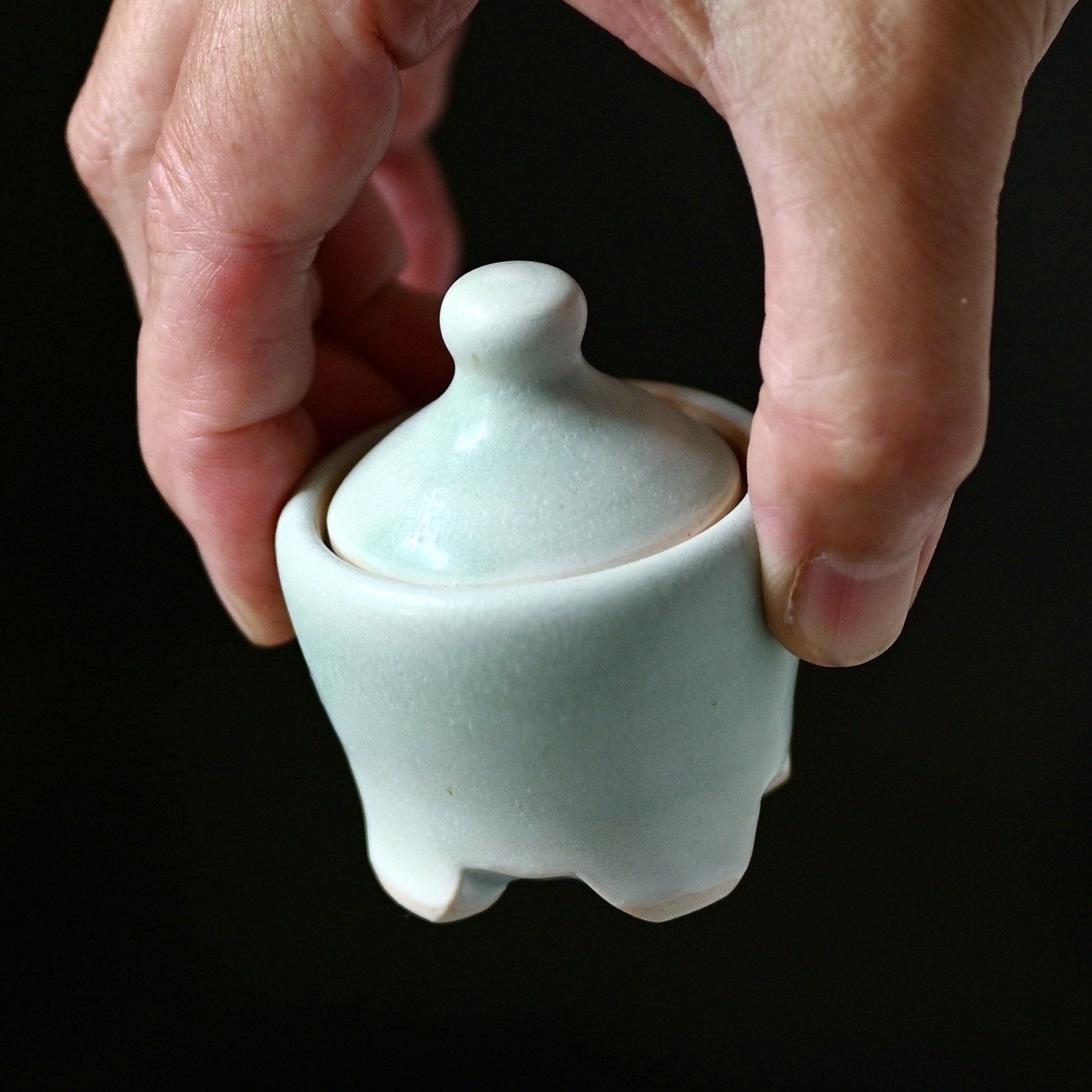 Tiny Urn Green Footed.JPG
