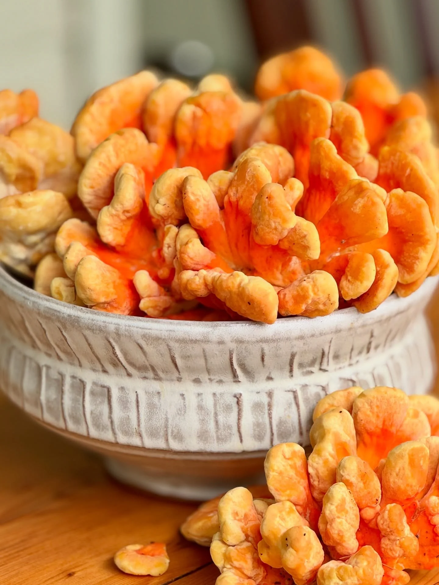 Foraging today. Found an abundance of my favorite mushroom&hellip; chicken of the woods. 
Love the contrast with my linen white serving bowls.
If you&rsquo;ve never tasted chicken of the woods you should, they are sooooo good. Last night we had them 