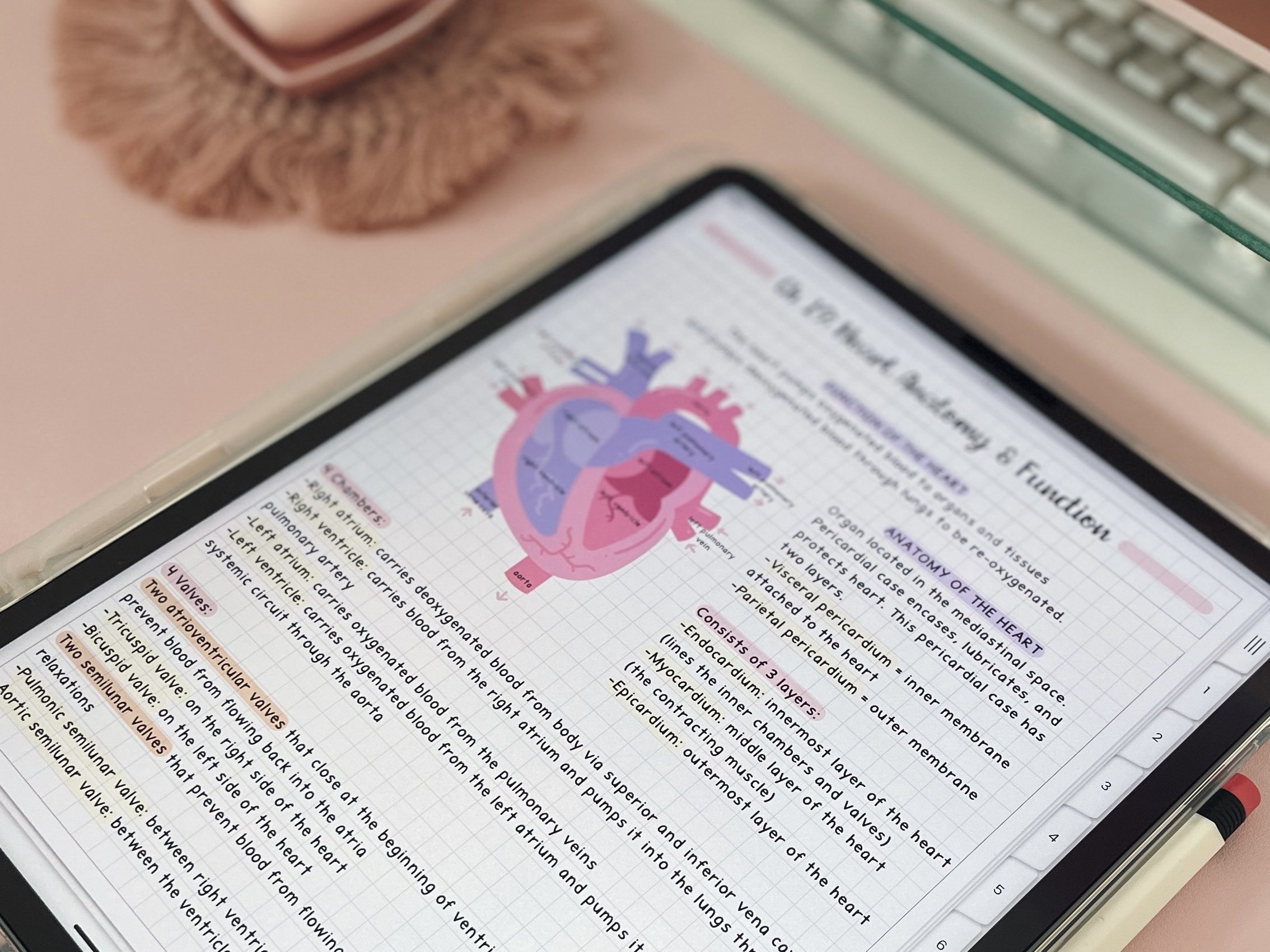 The Benefits of Taking Digital Notes on Your iPad Kae Digital Design