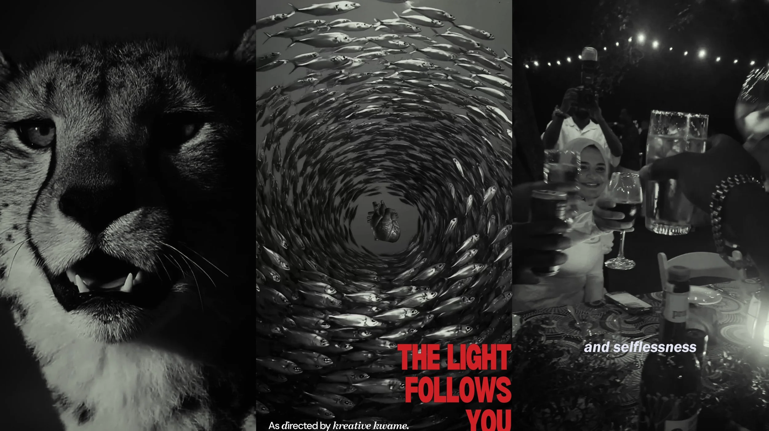 The Light Follows You - A NEWF 26 Story
