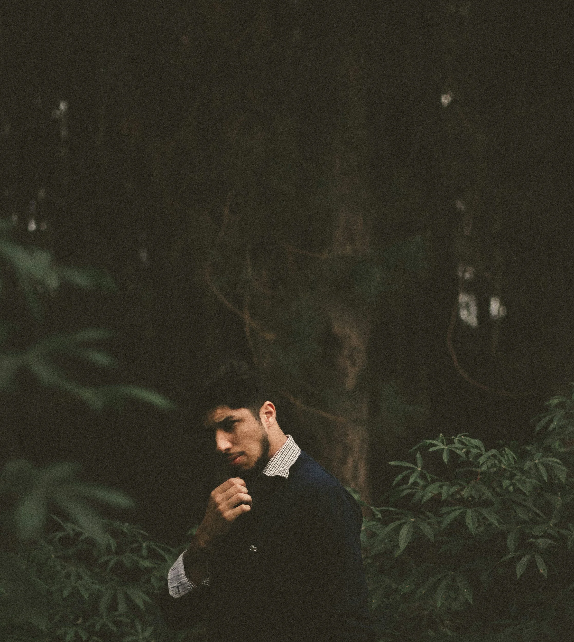 Executives & CEOs in Woods