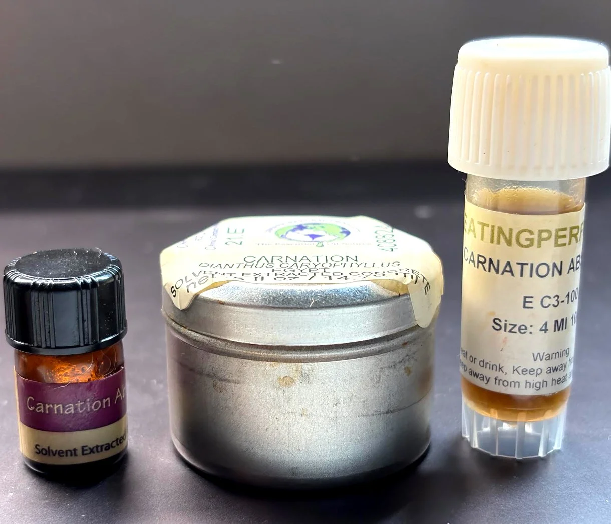 Carnation Kit copy.jpg