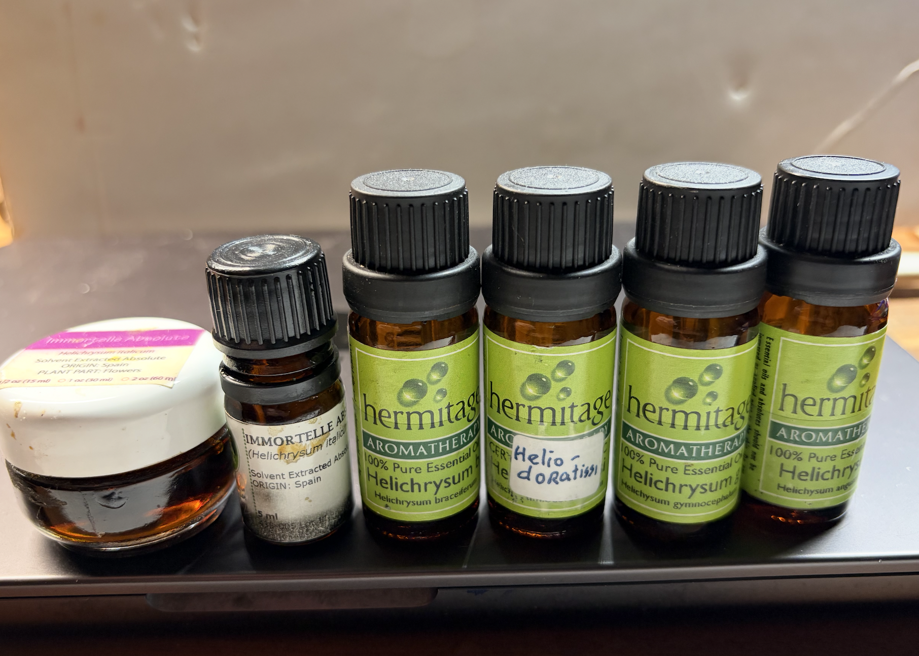 Helichrysum Kit.png