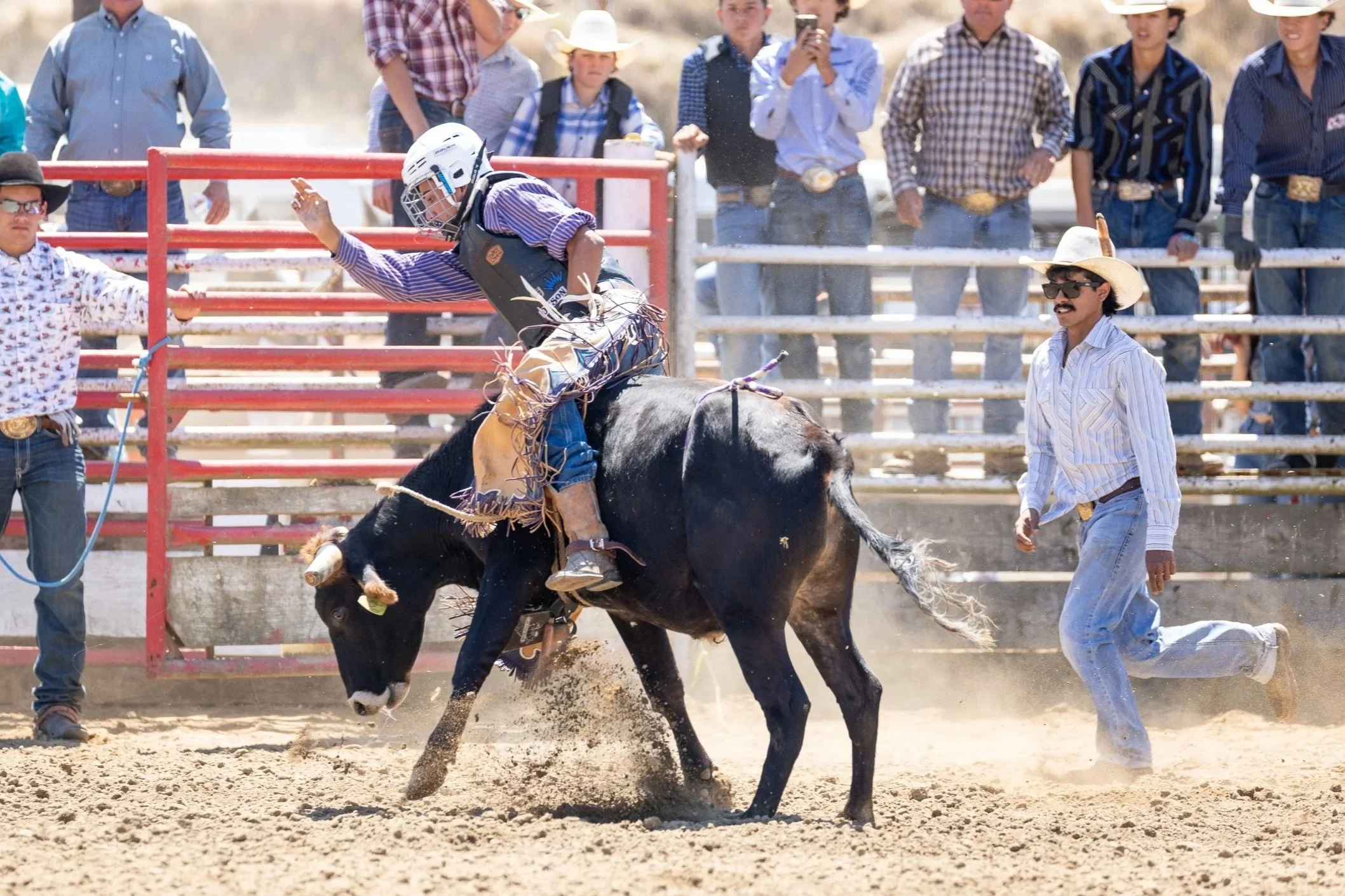 MCSP 79th Junior Rodeo