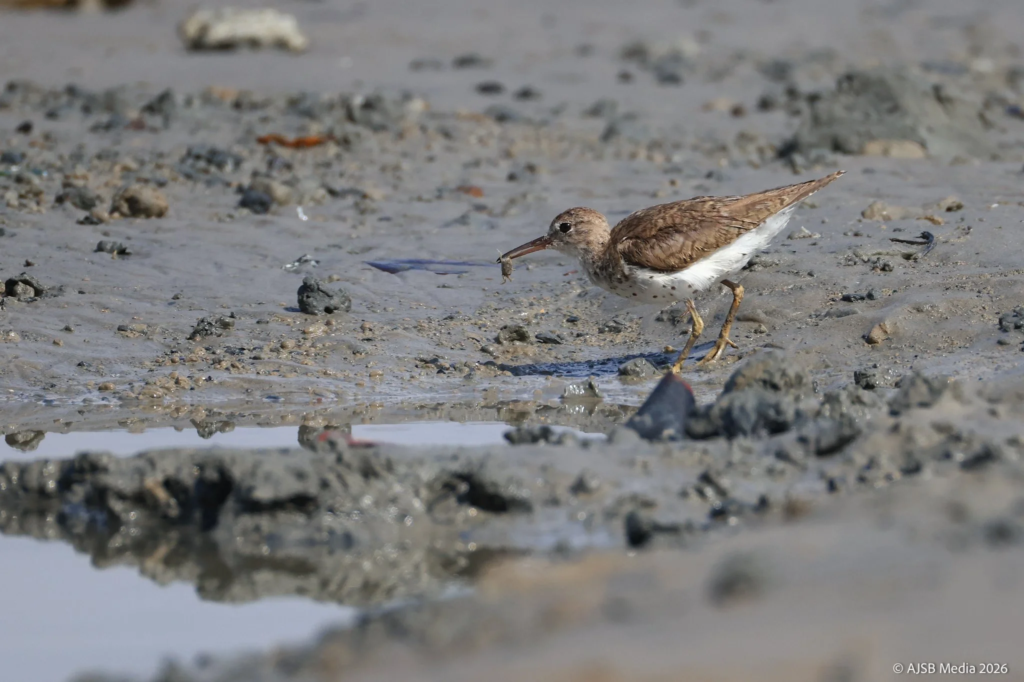 IMG_1356_für Instagram.jpg