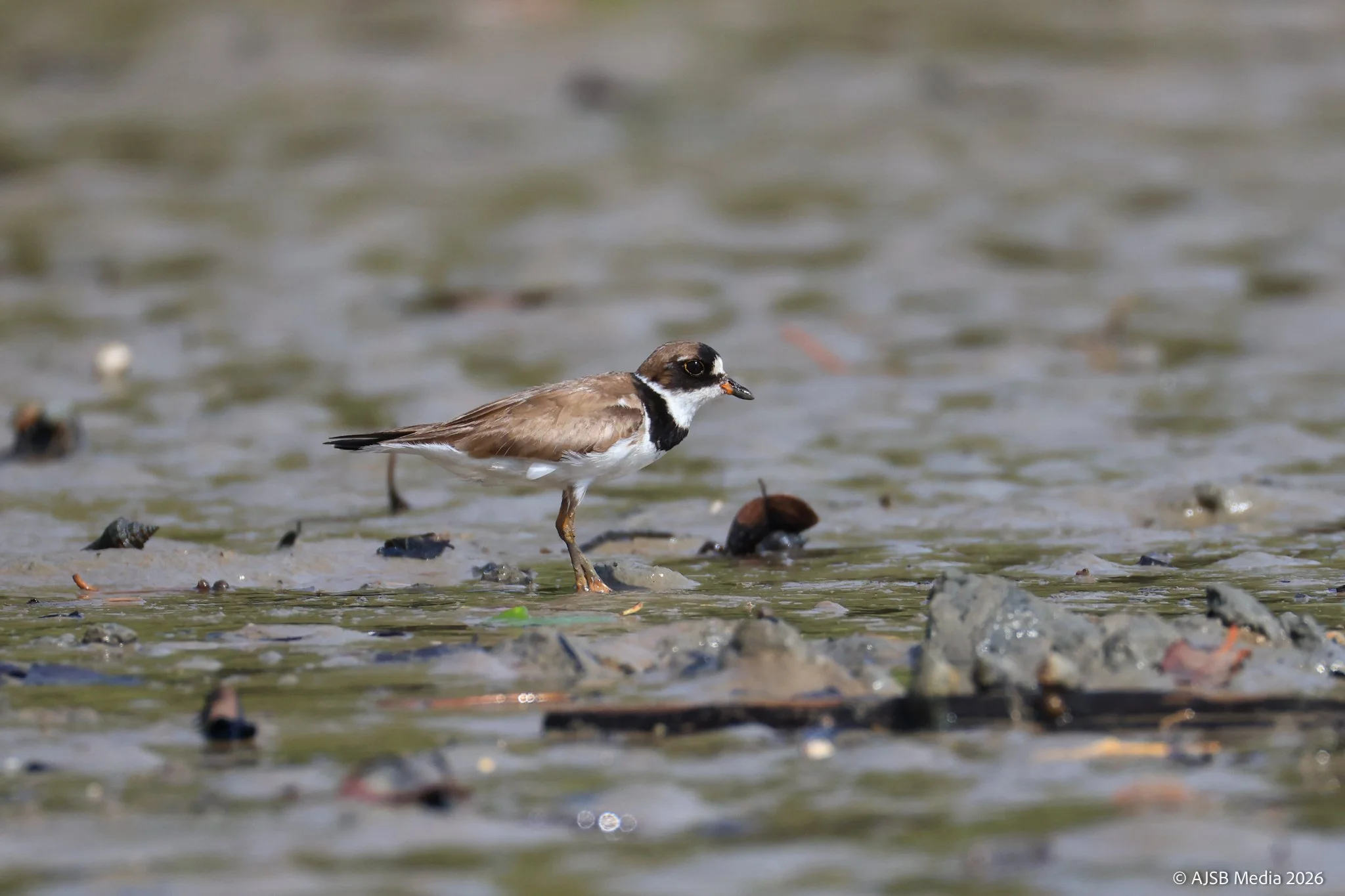 IMG_1768_für Instagram.jpg