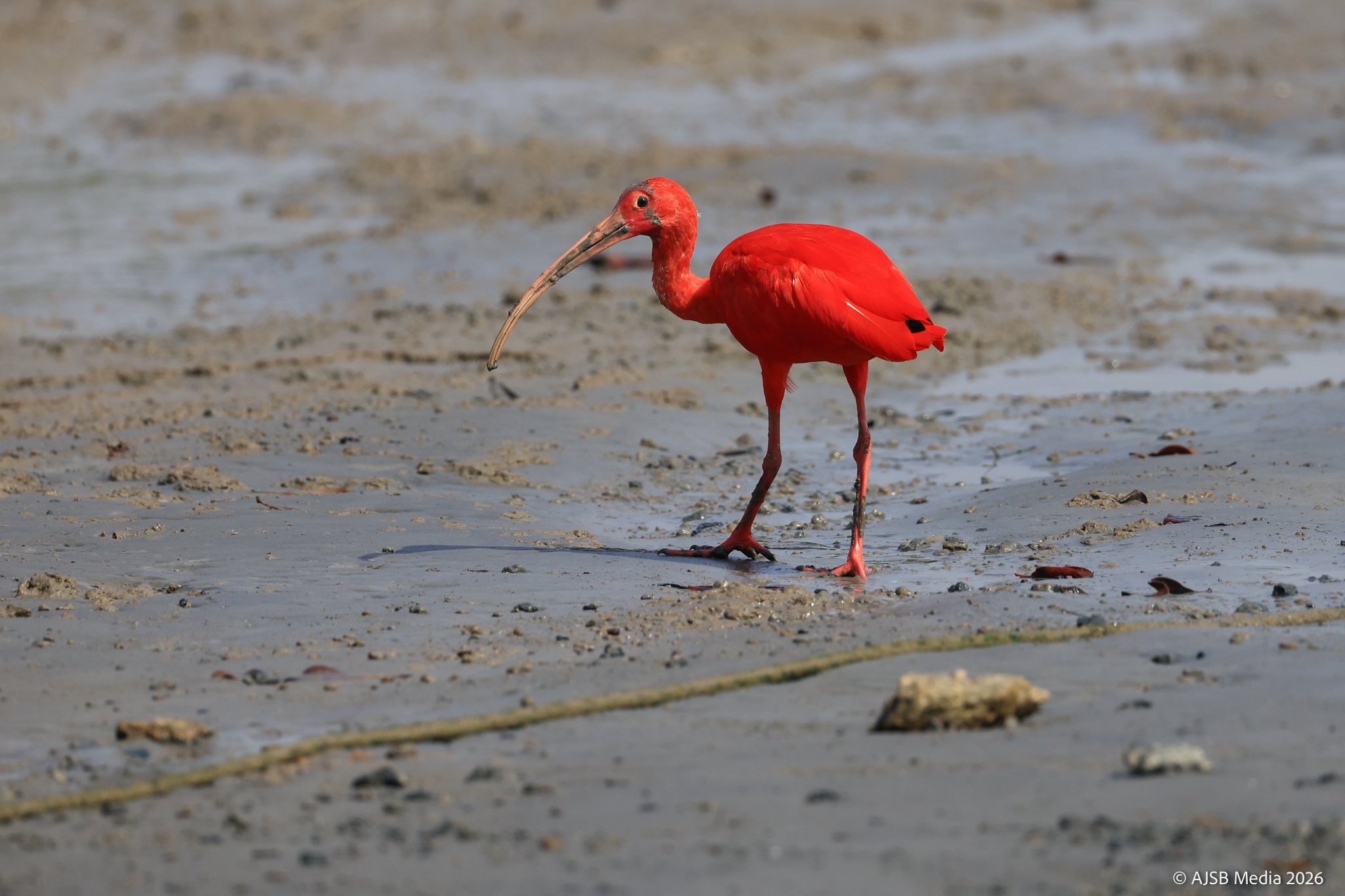 IMG_0622_für Instagram.jpg