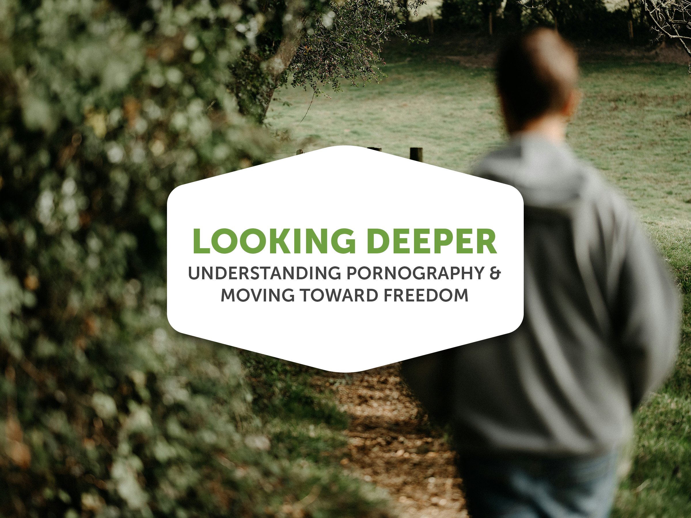 LifeTree_Looking Deeper_Calendar Graphic.jpg