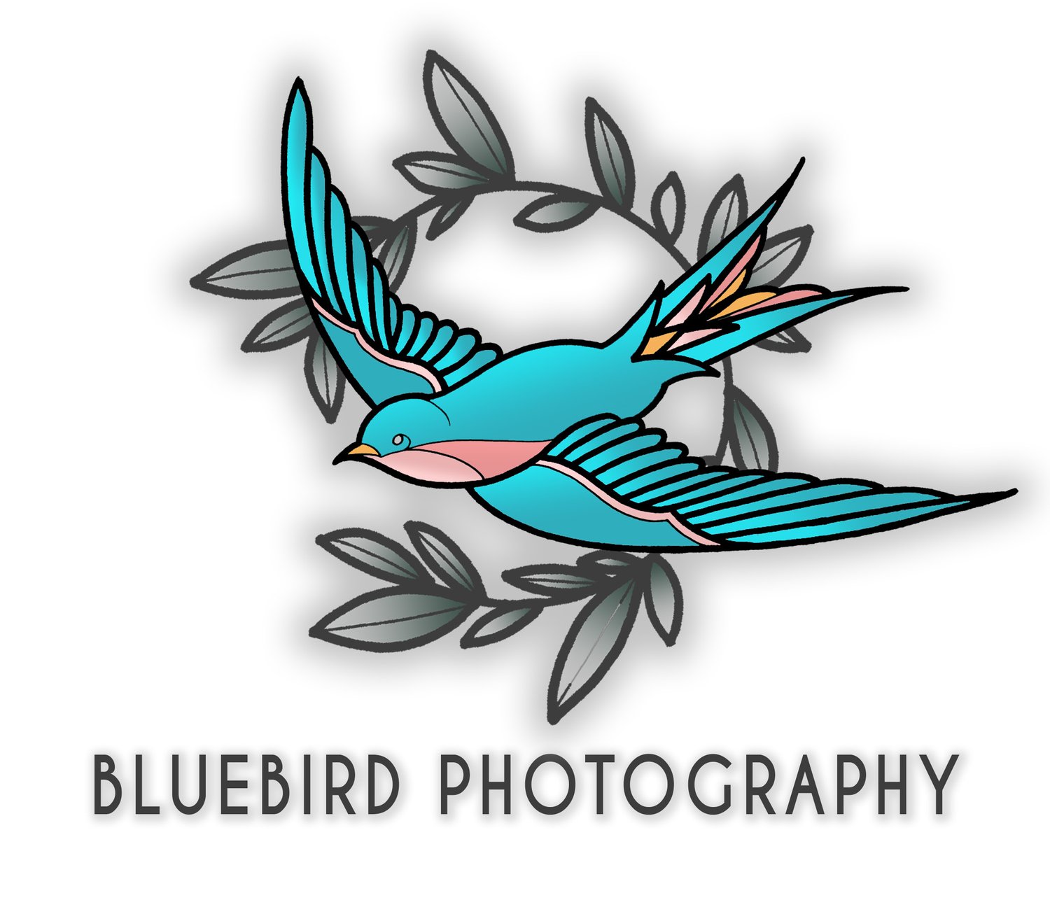 Bluebird Photography