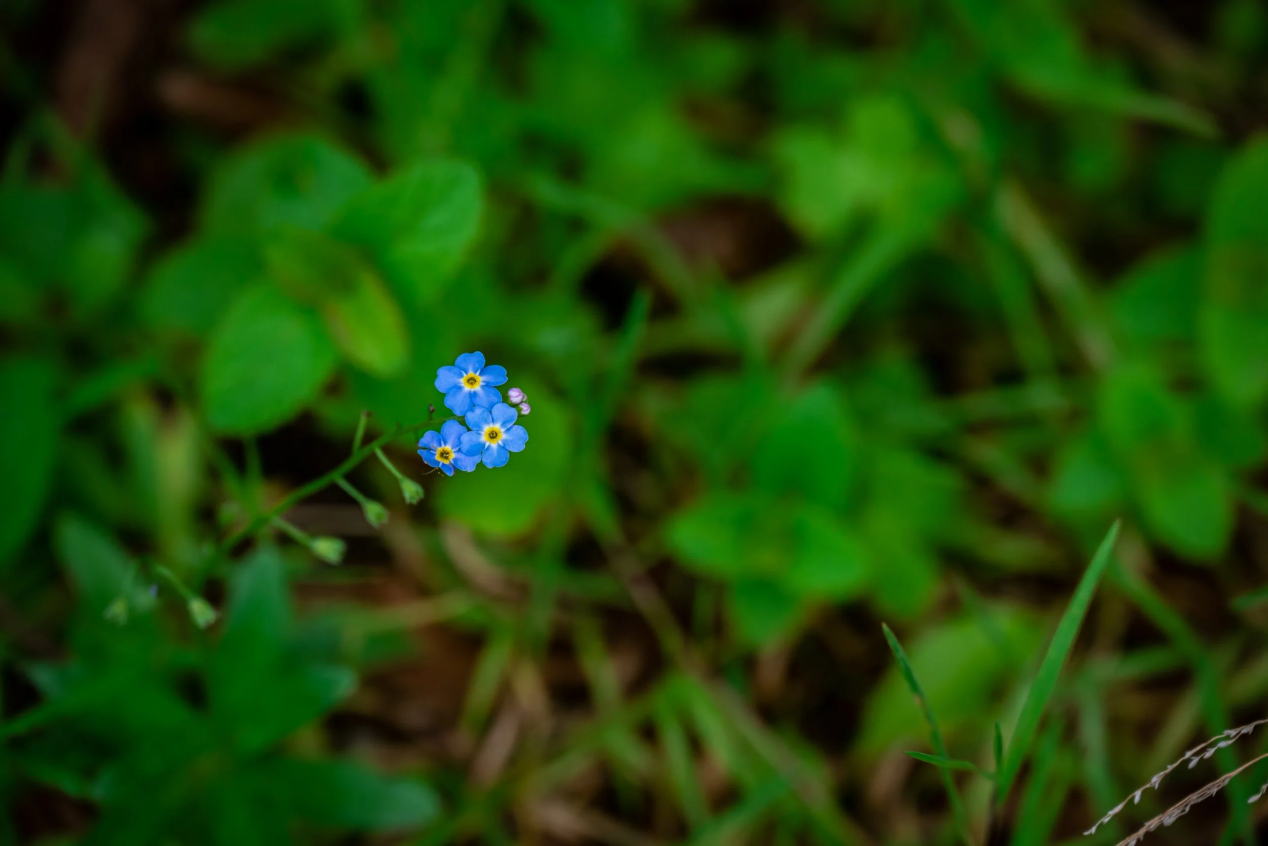 DSC_5397.JPG