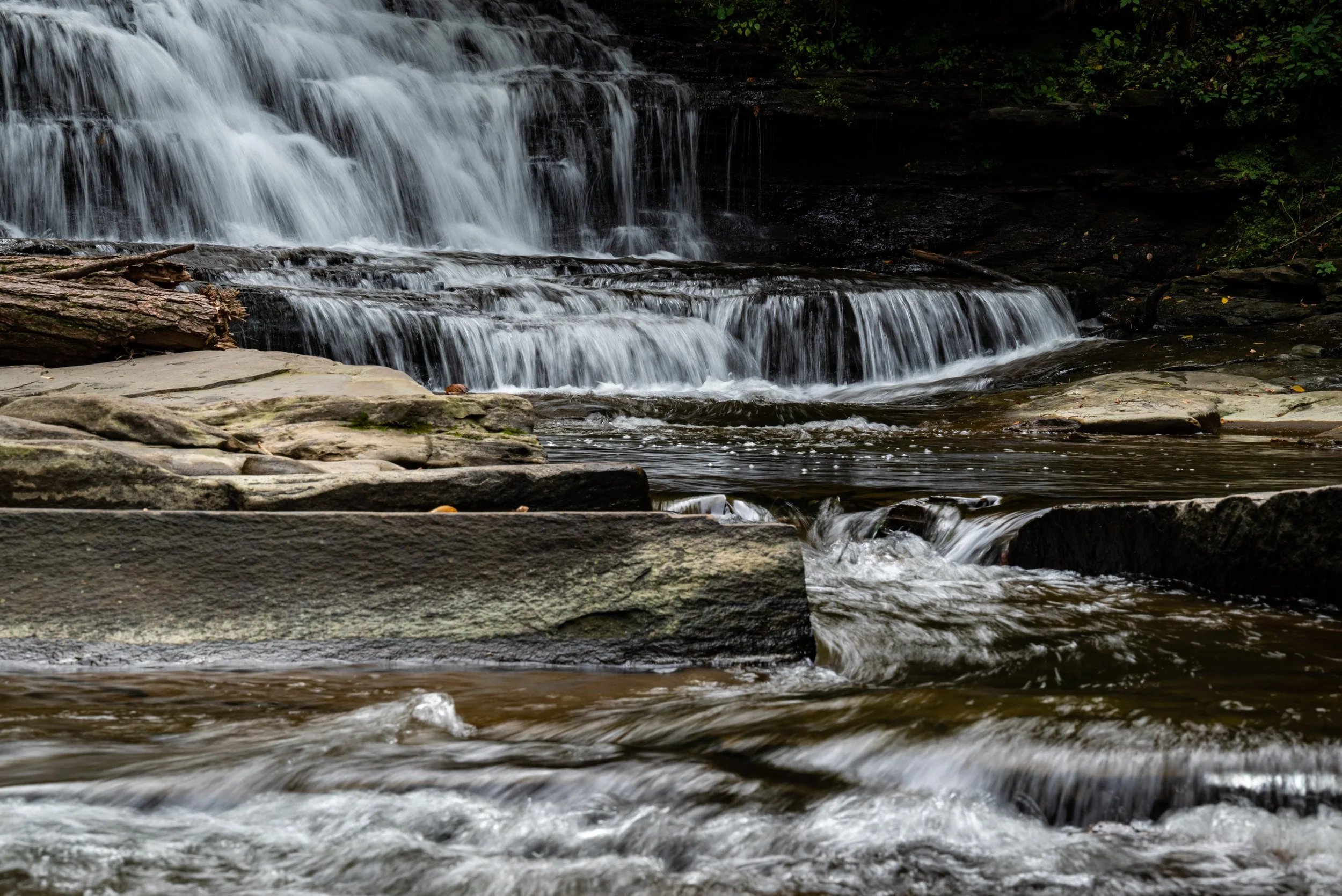 DSC_5566.JPG