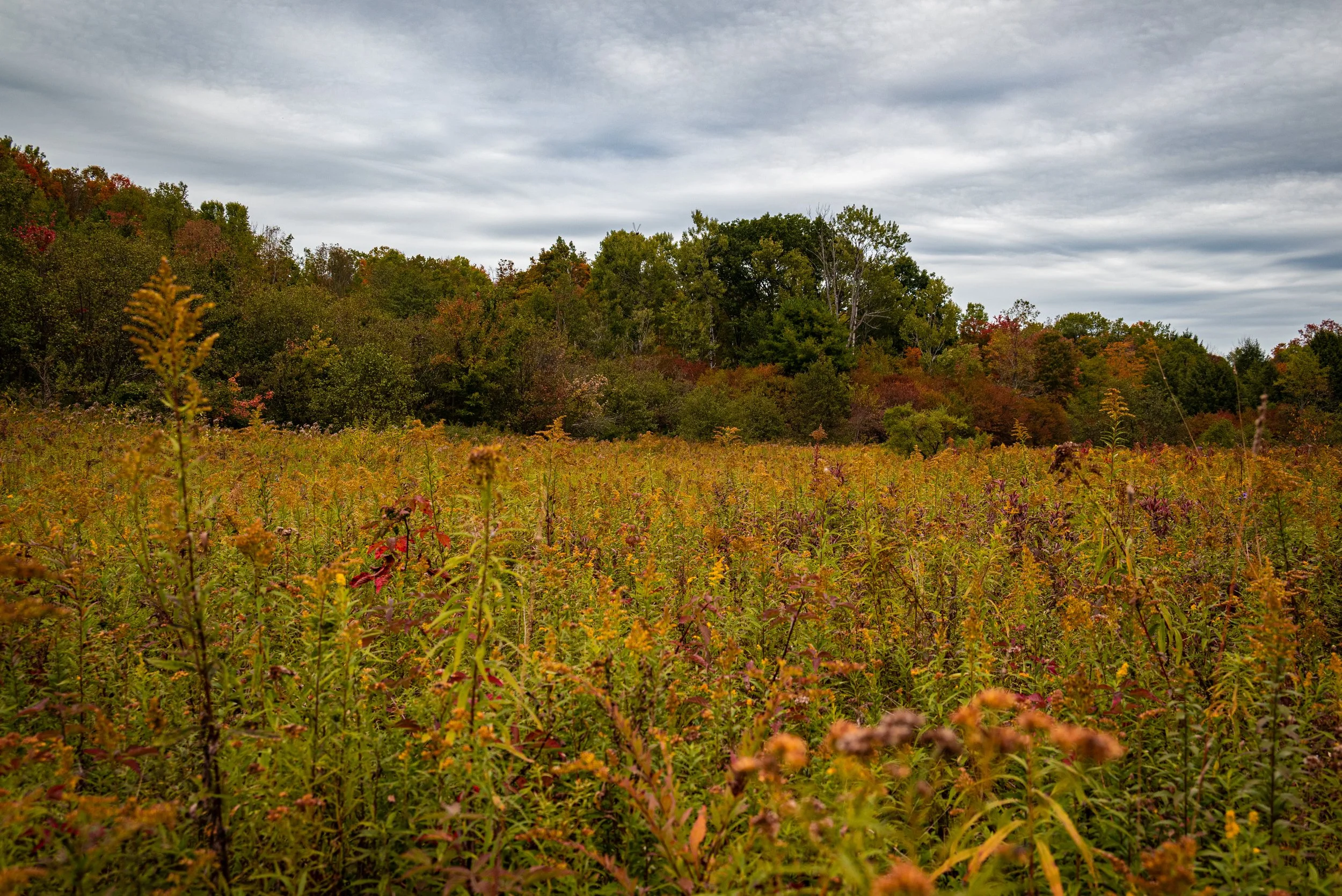 DSC_5262.JPG