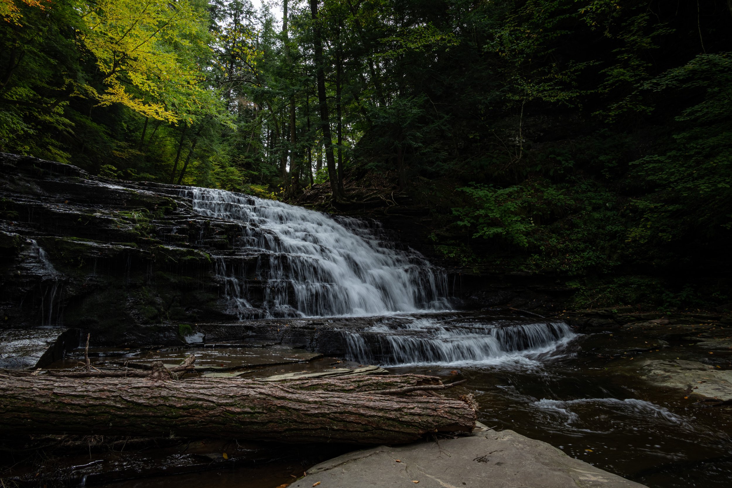 DSC_5544.JPG