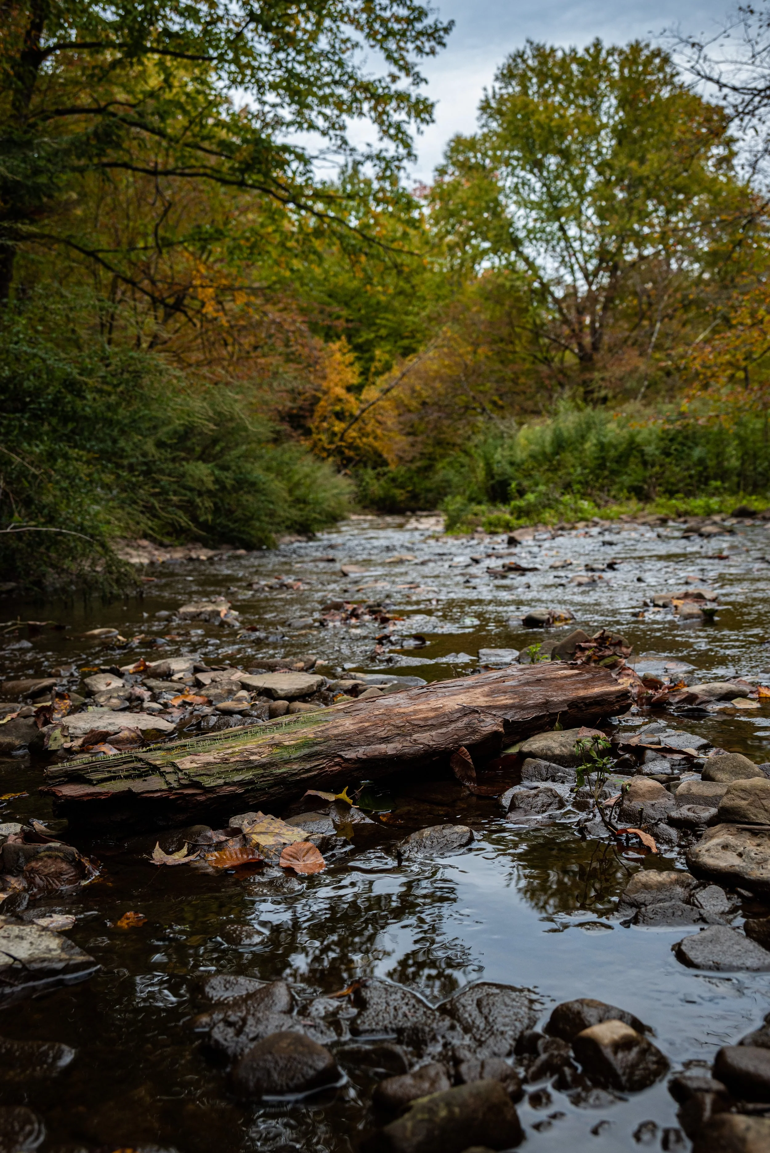 DSC_5297.JPG