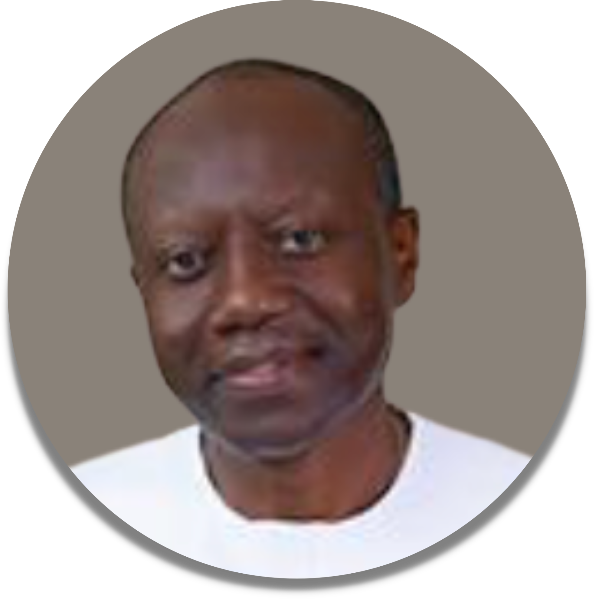 Mr. Ken Ofori-Atta