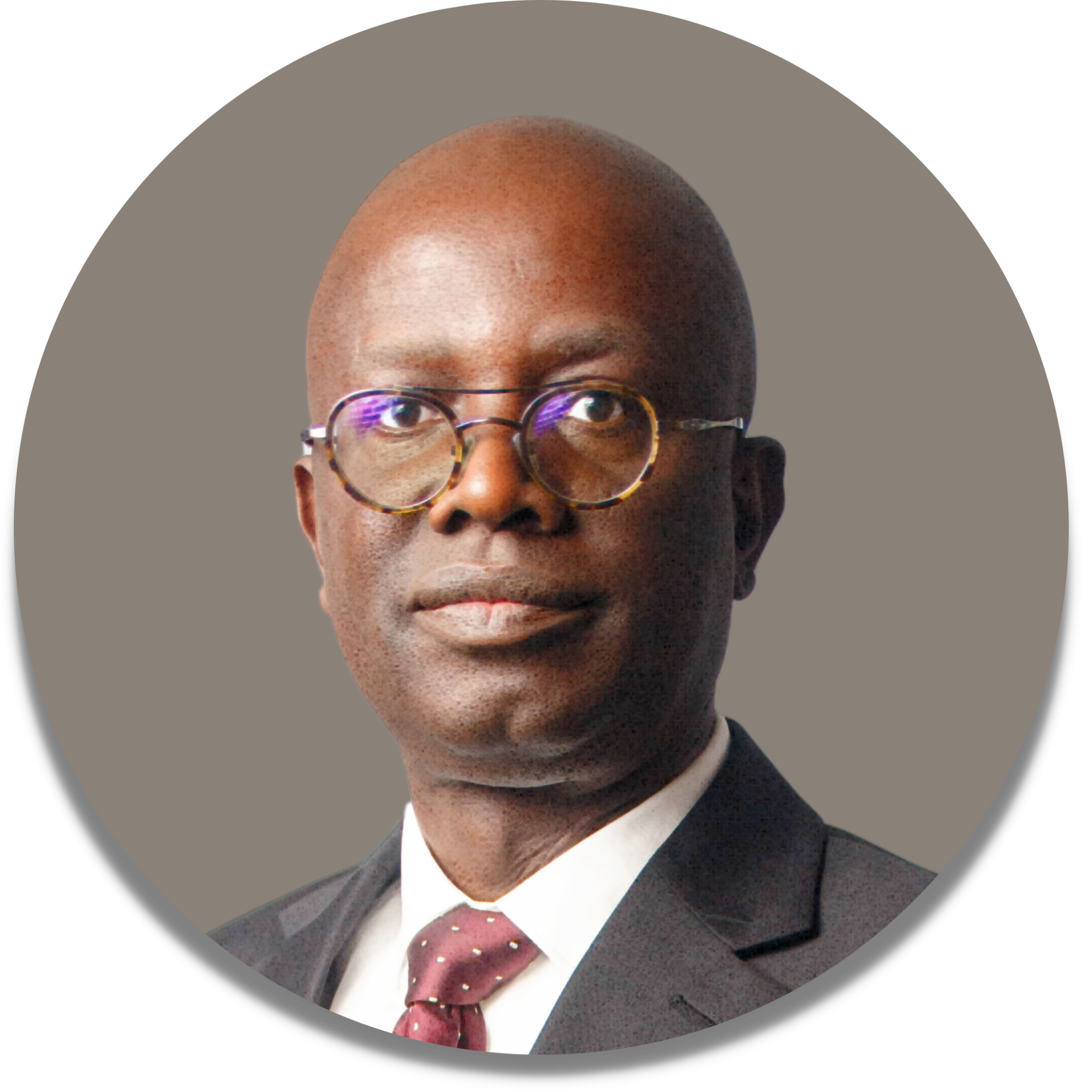 Mr. Olusegun Adeniyi