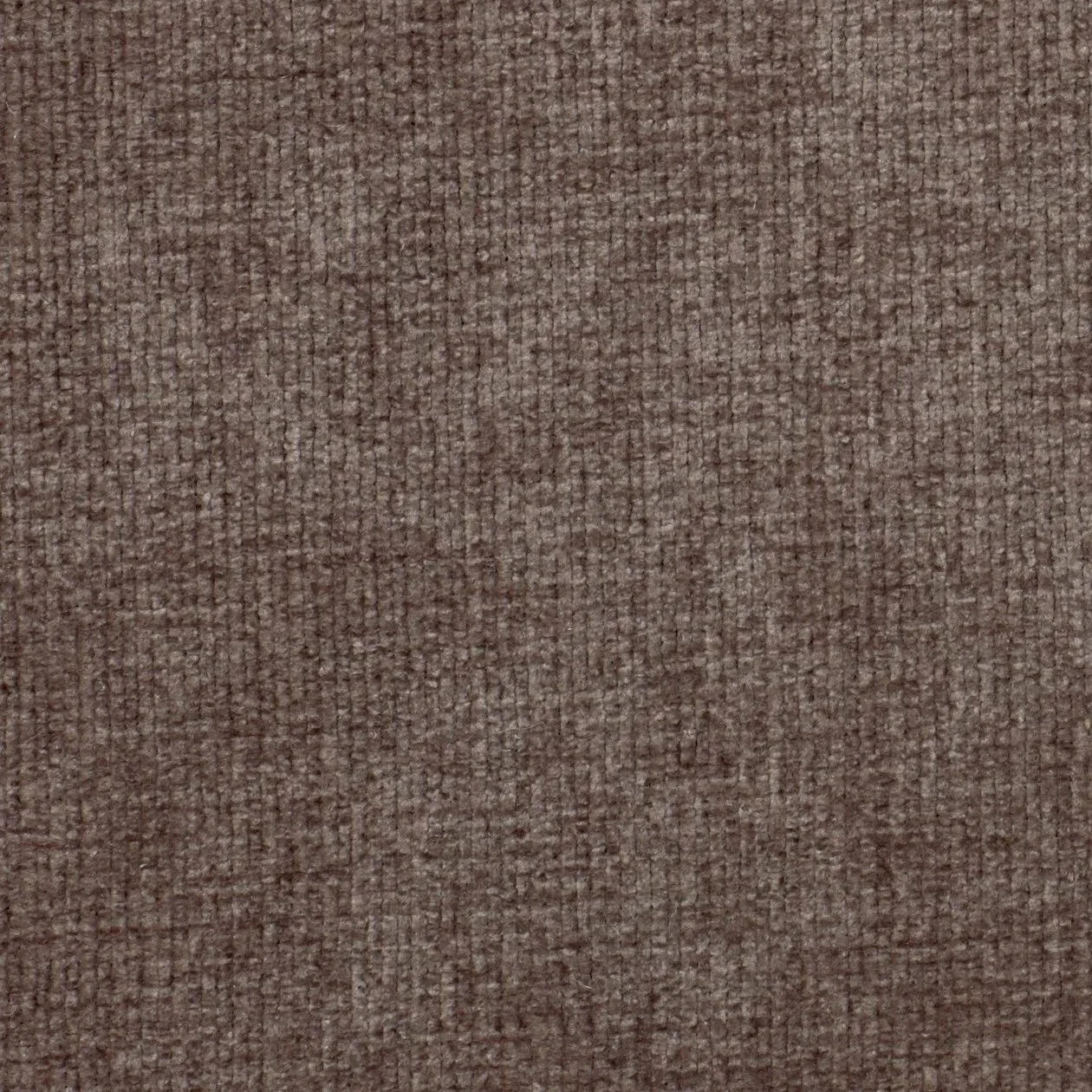 Fabric: Comet, Colour: Mink