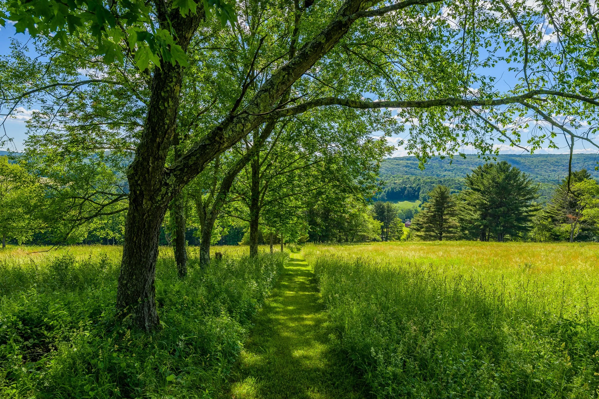 Screen - 30 East Rd Alford MA 01266-9088.jpg