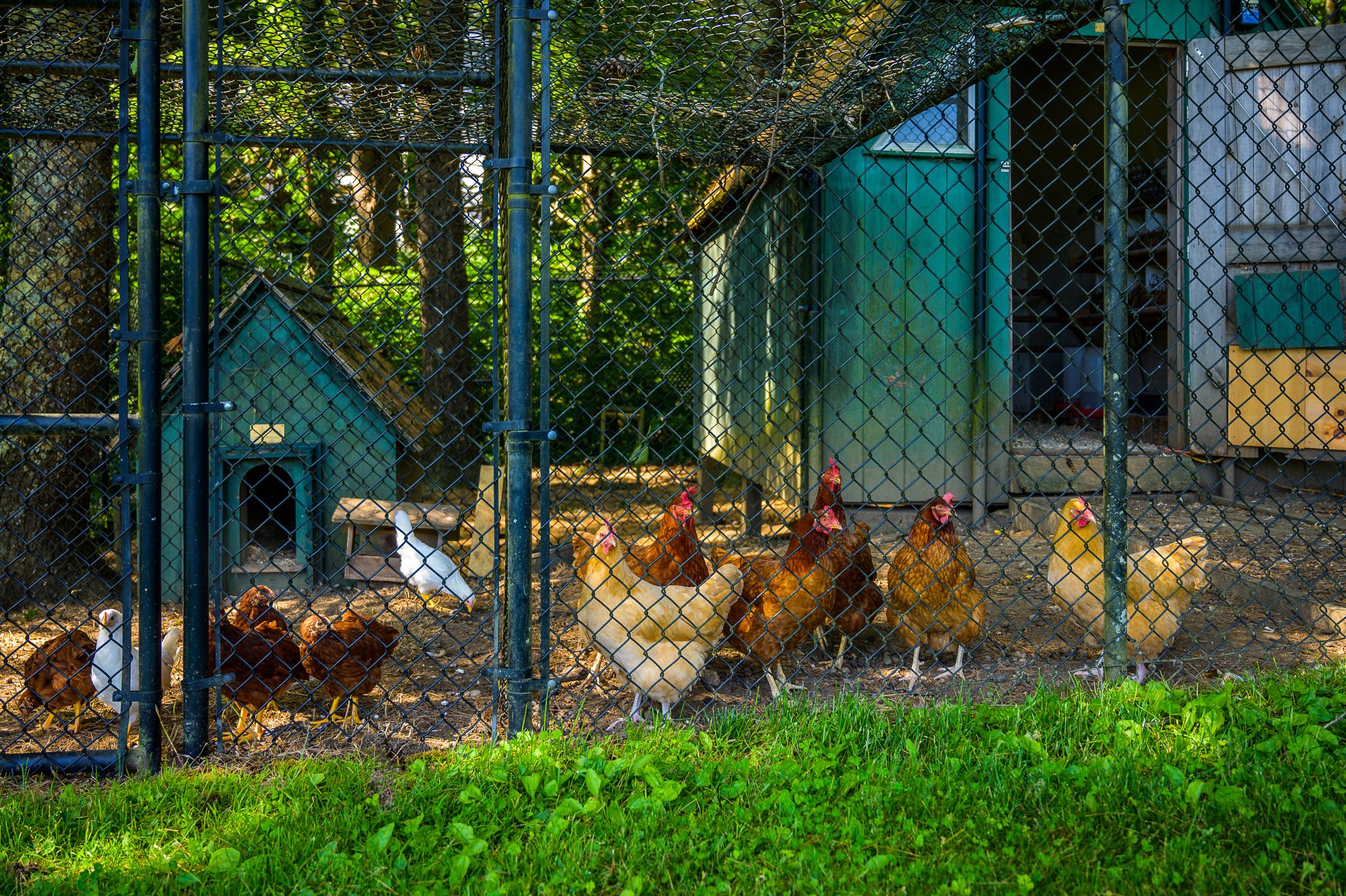 Screen - 30 East Rd Alford MA 01266-2729.jpg