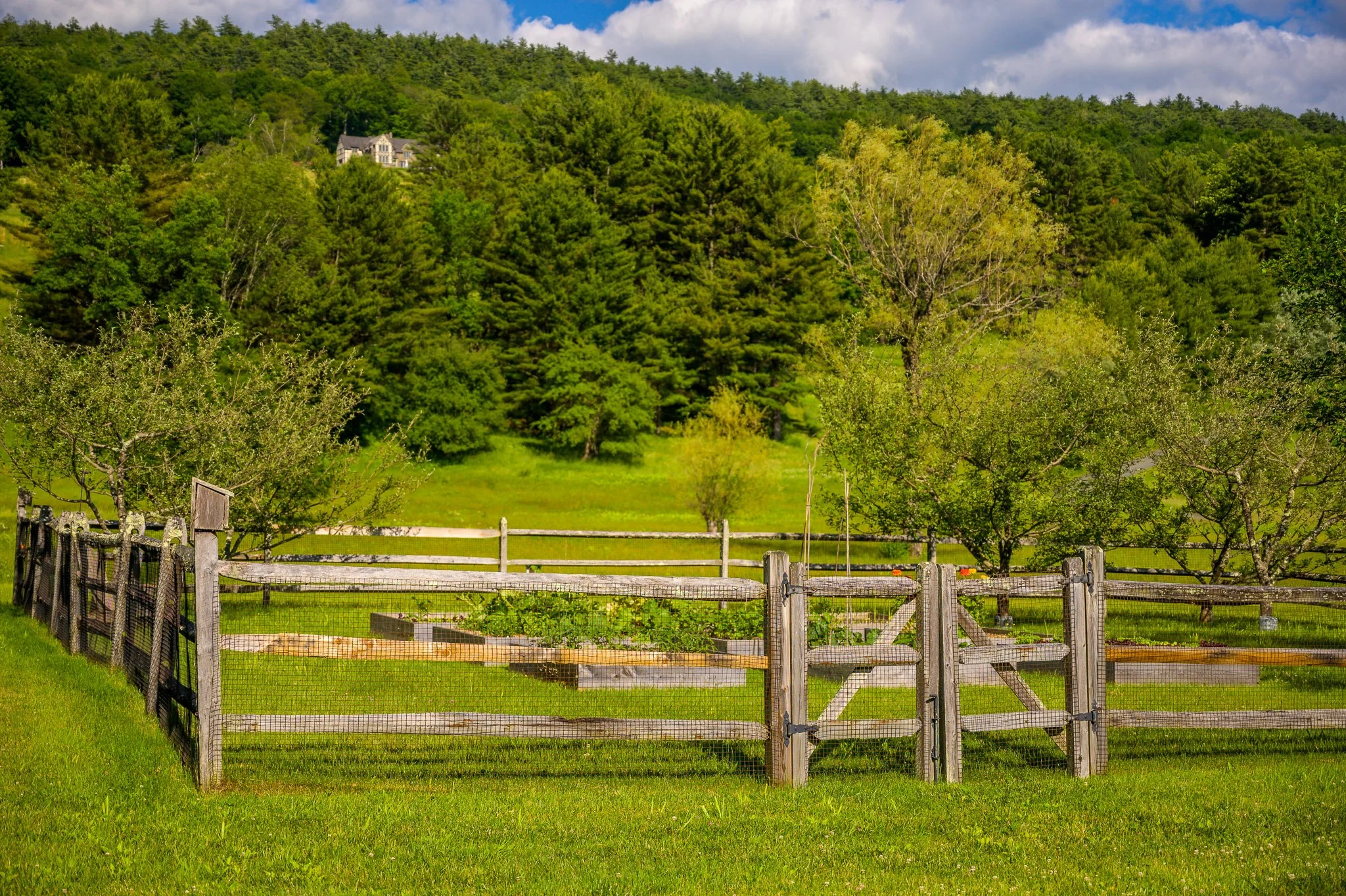 Screen - 30 East Rd Alford MA 01266-2558.jpg