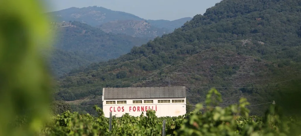 CORSICA: The Wild Side of the Mediterranean