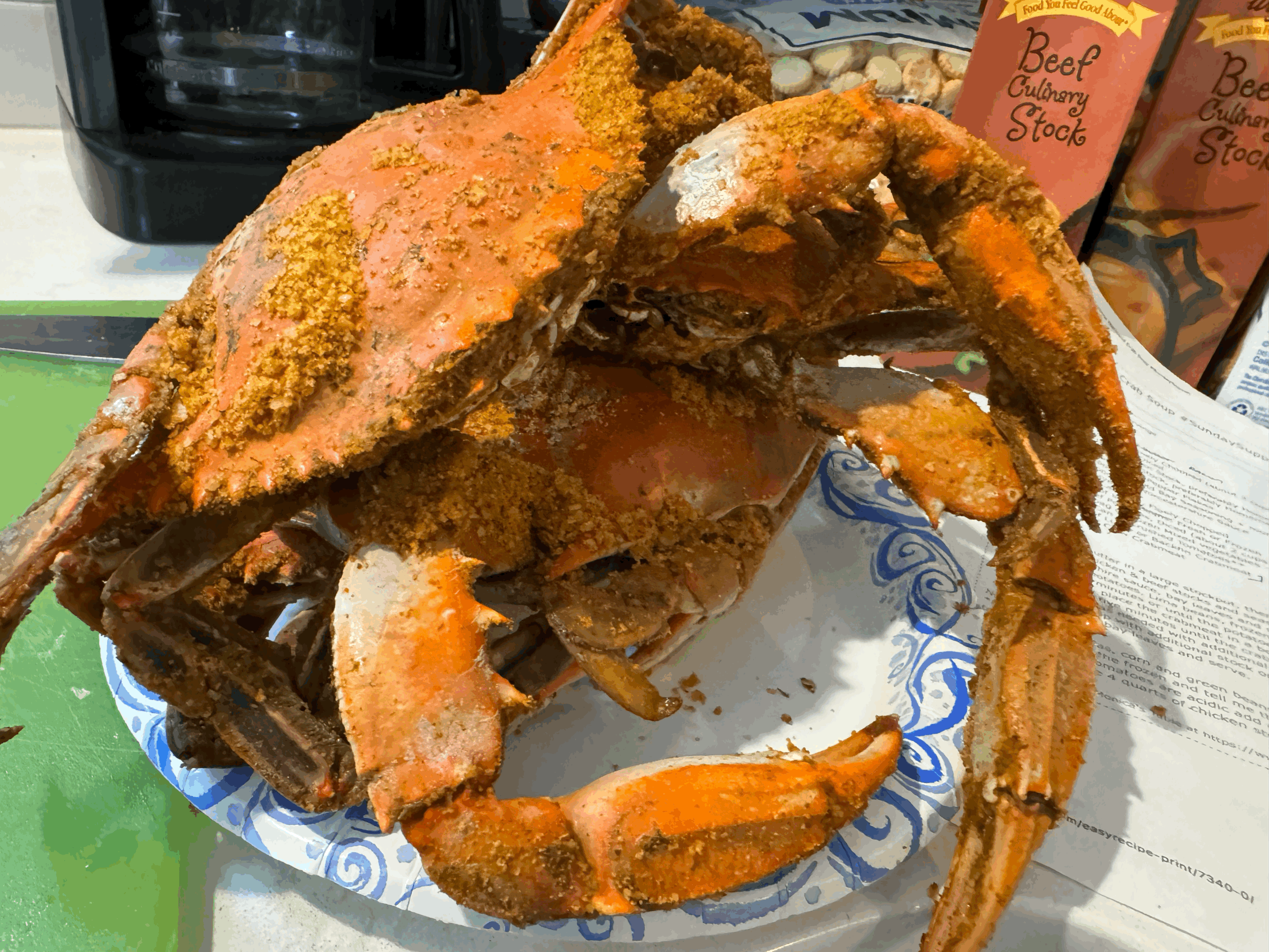 SSCGB General Meeting & Surf and Turf Picnic