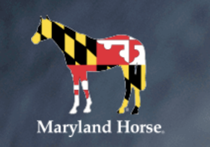 SSCGB General Club Meeting