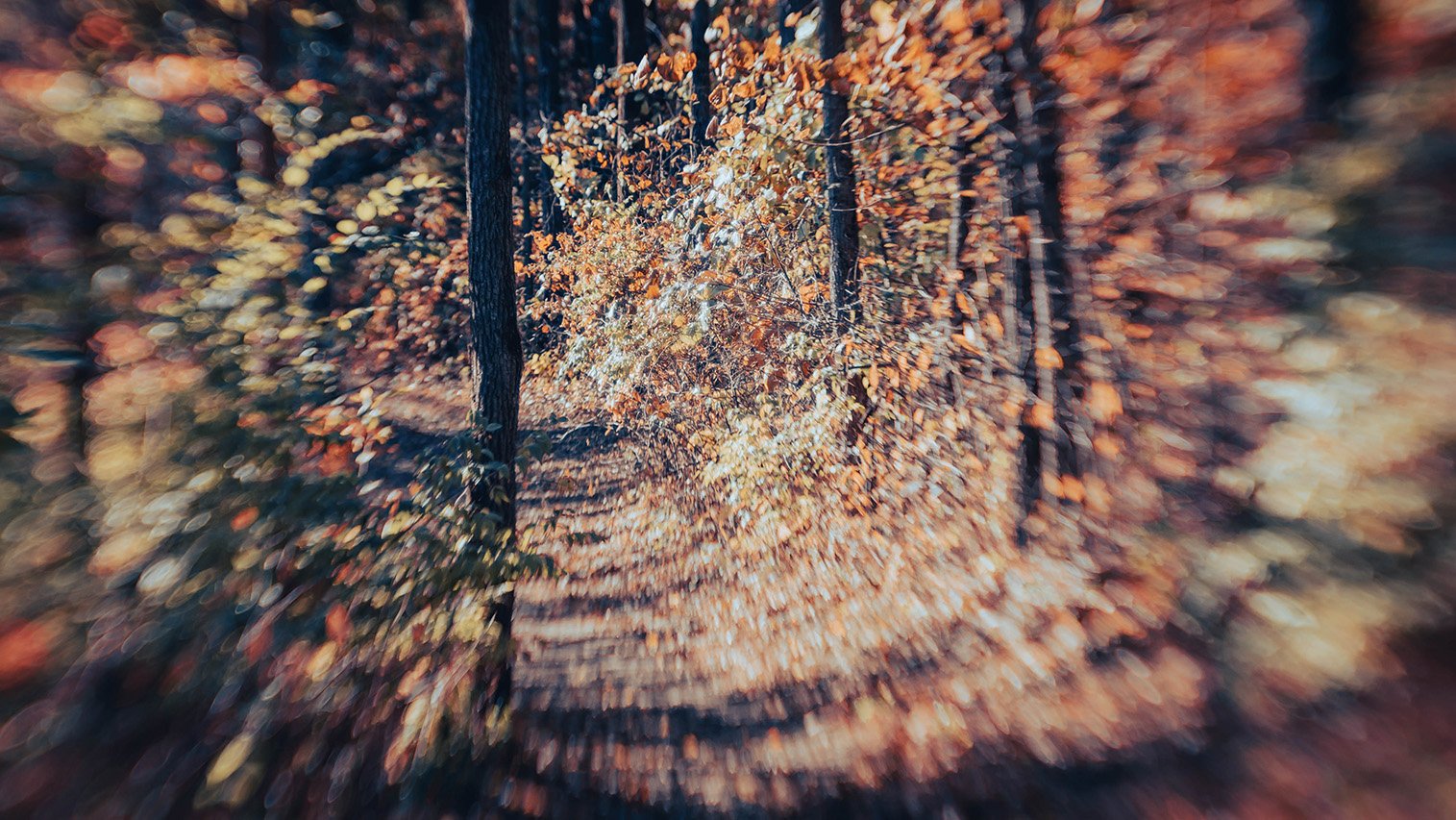 Nostalgia