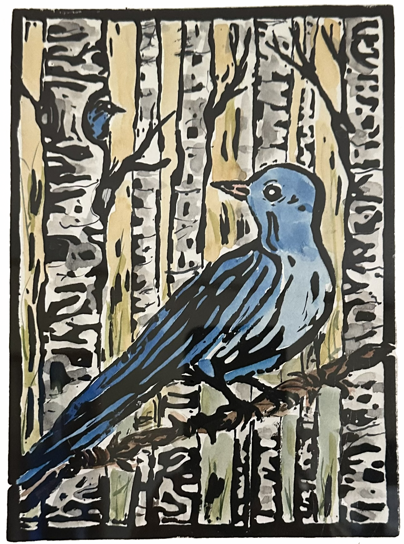 Mountain Bluebird (2026)