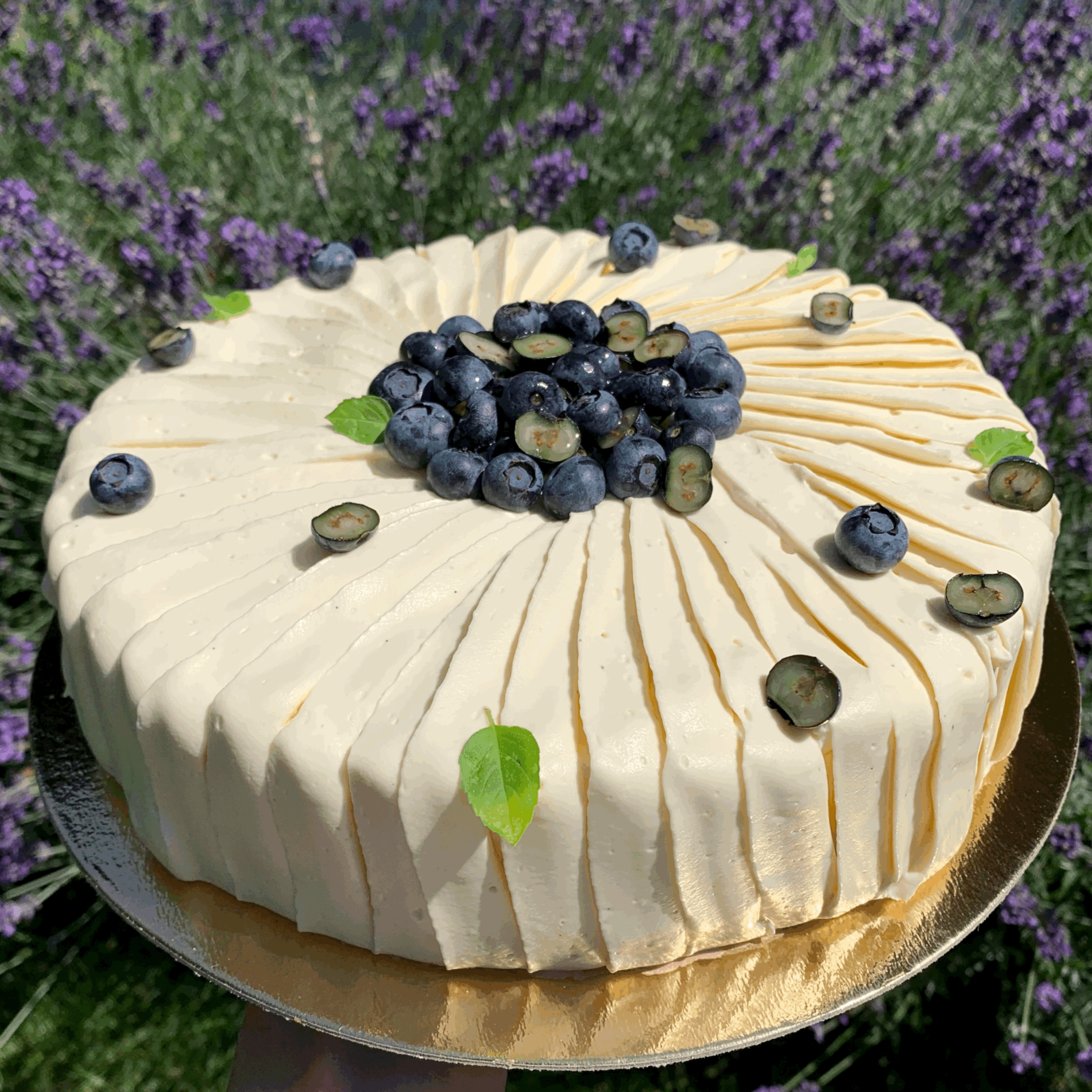 Heidelbeer-Joghurt Torte