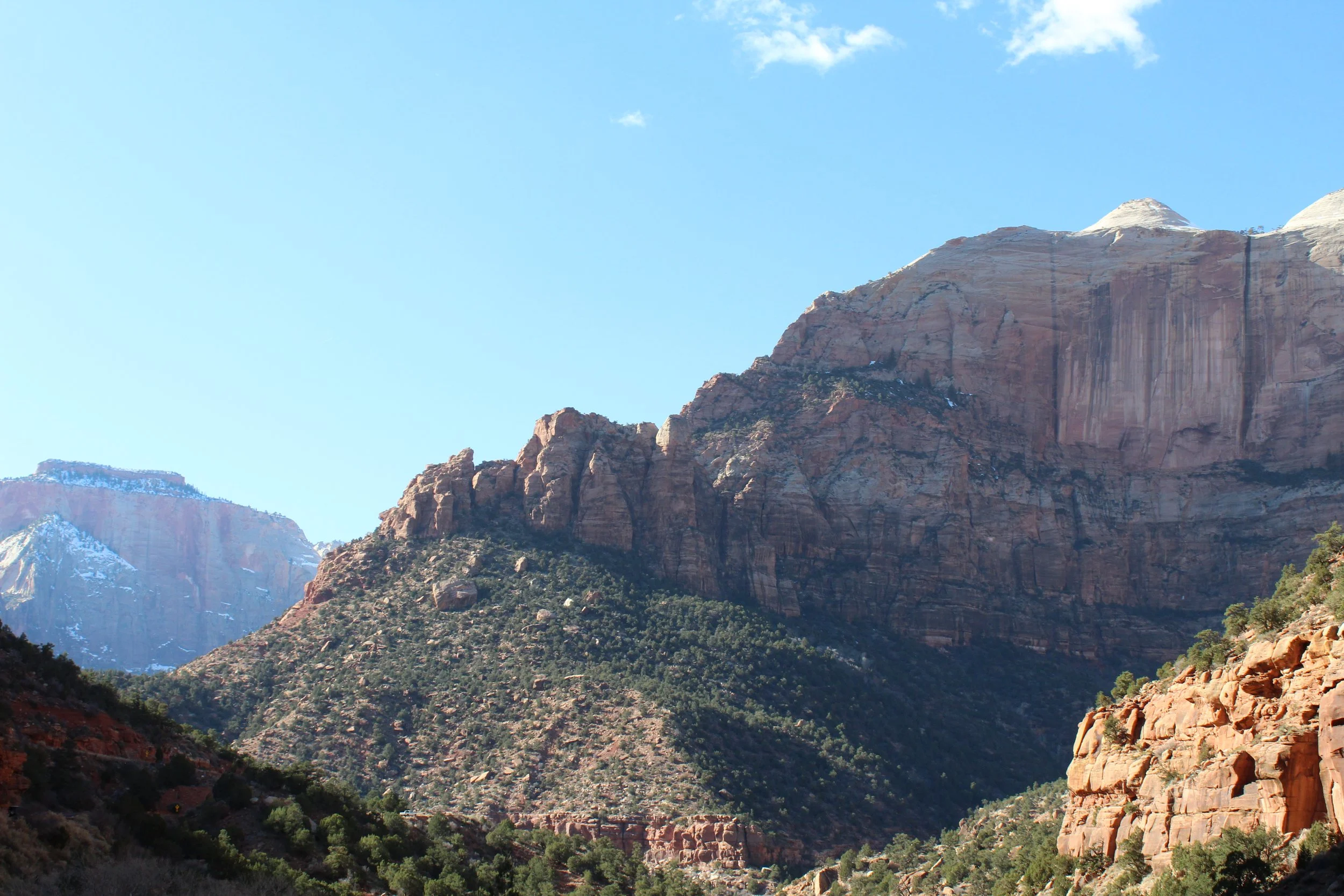 Copy of IMG_5927.jpeg