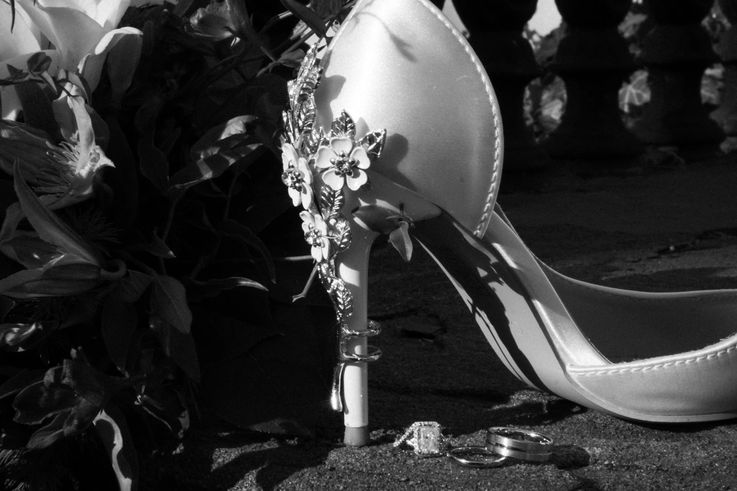 Rumi and David (100 of 181).jpg