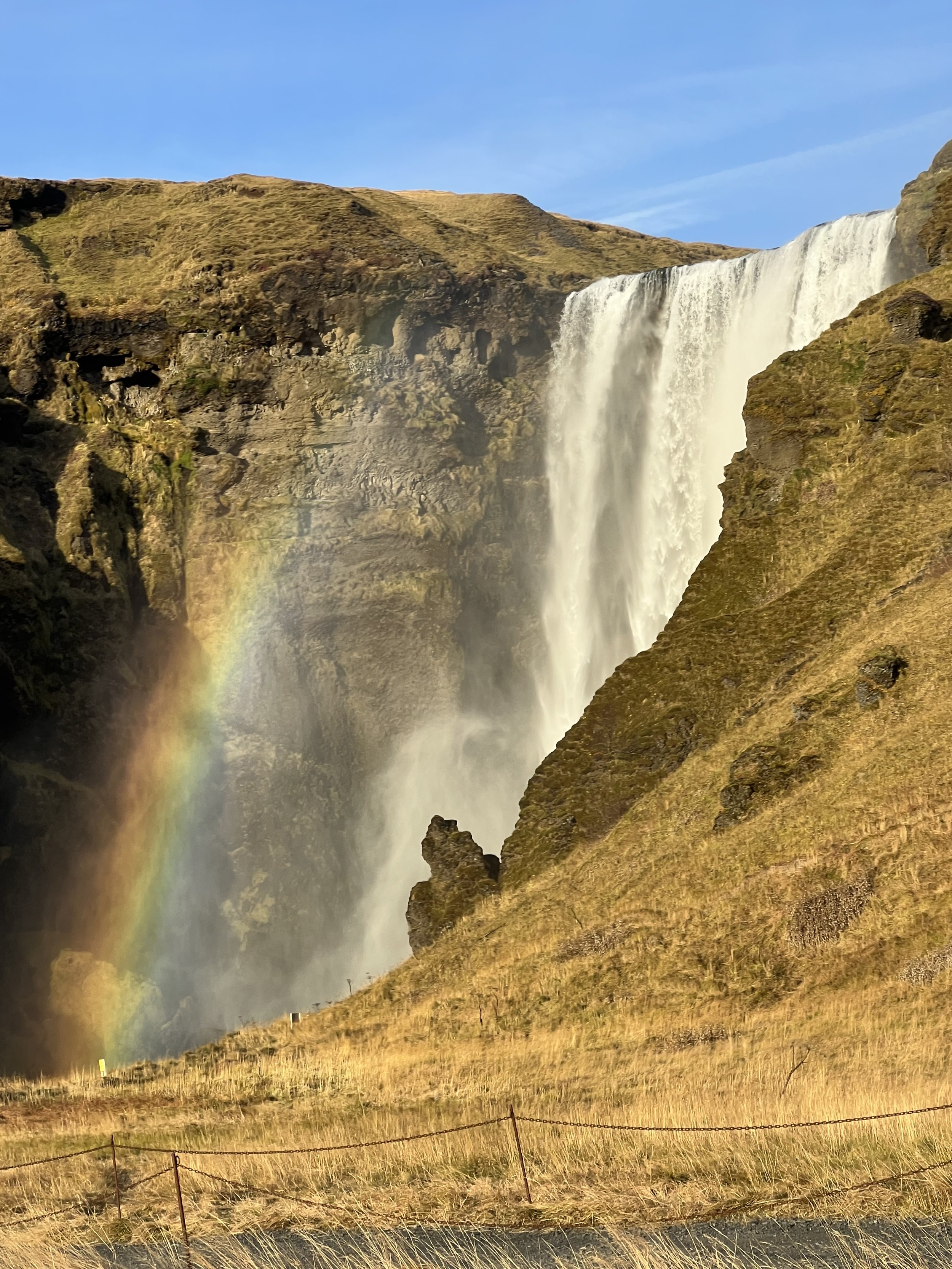 77146156-0900-4F7D-9A49-8CF9E9FC6CCC.jpeg