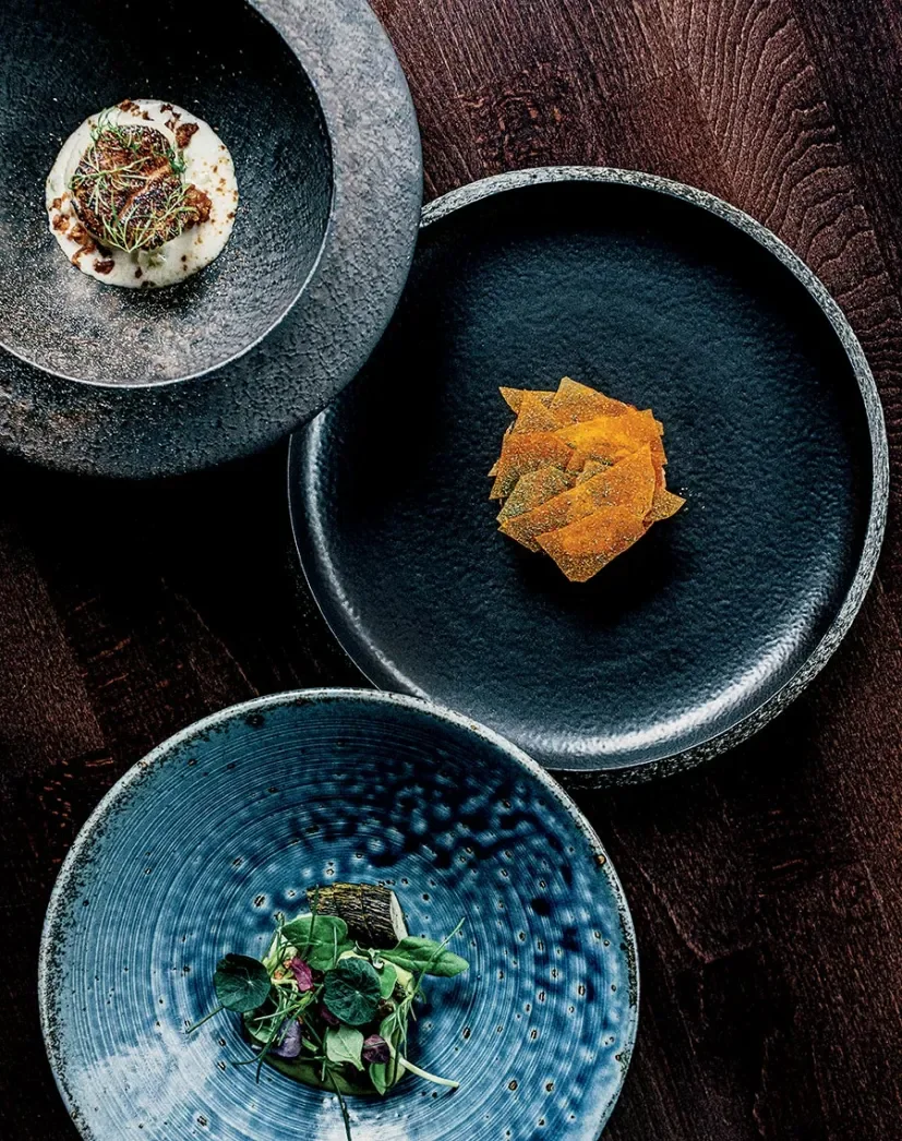 Three black ceramic plates with gourmet food, one with a dish topped with microgreens, another with layered thin crispy chips, and the third with a salad and a piece of fish.