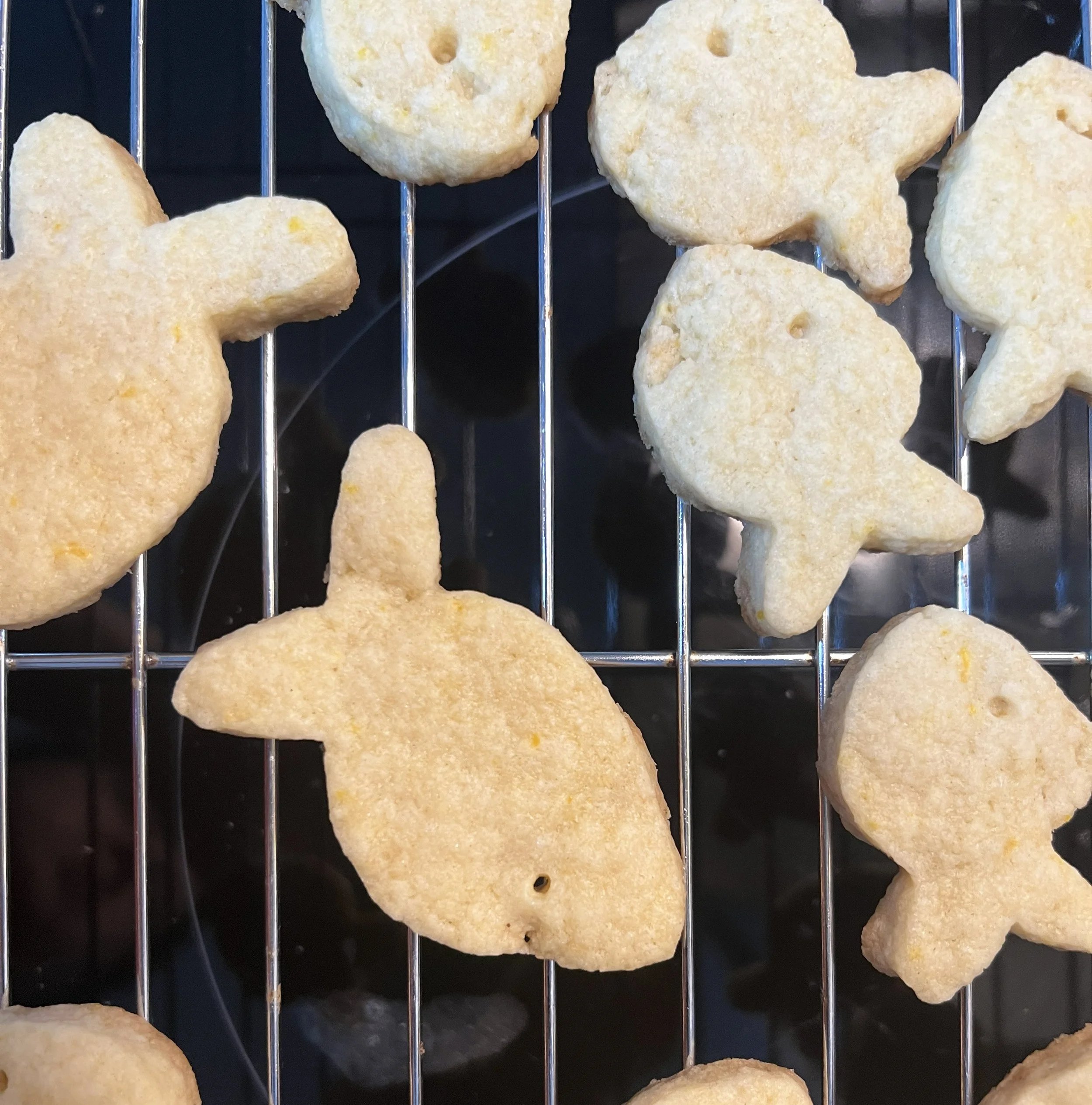 baked cookies cooling