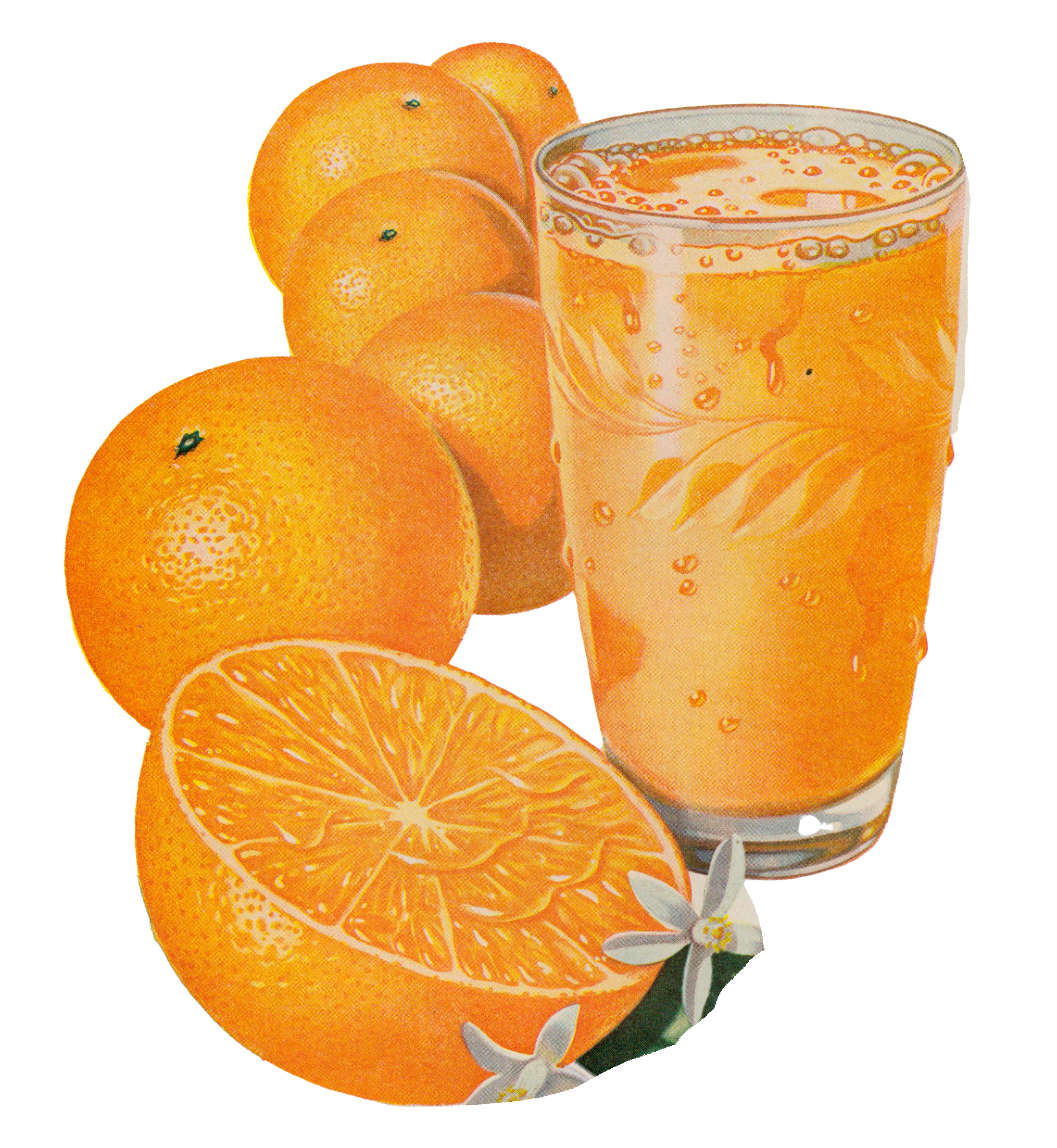 cut out of orange juice in a glass archive picture