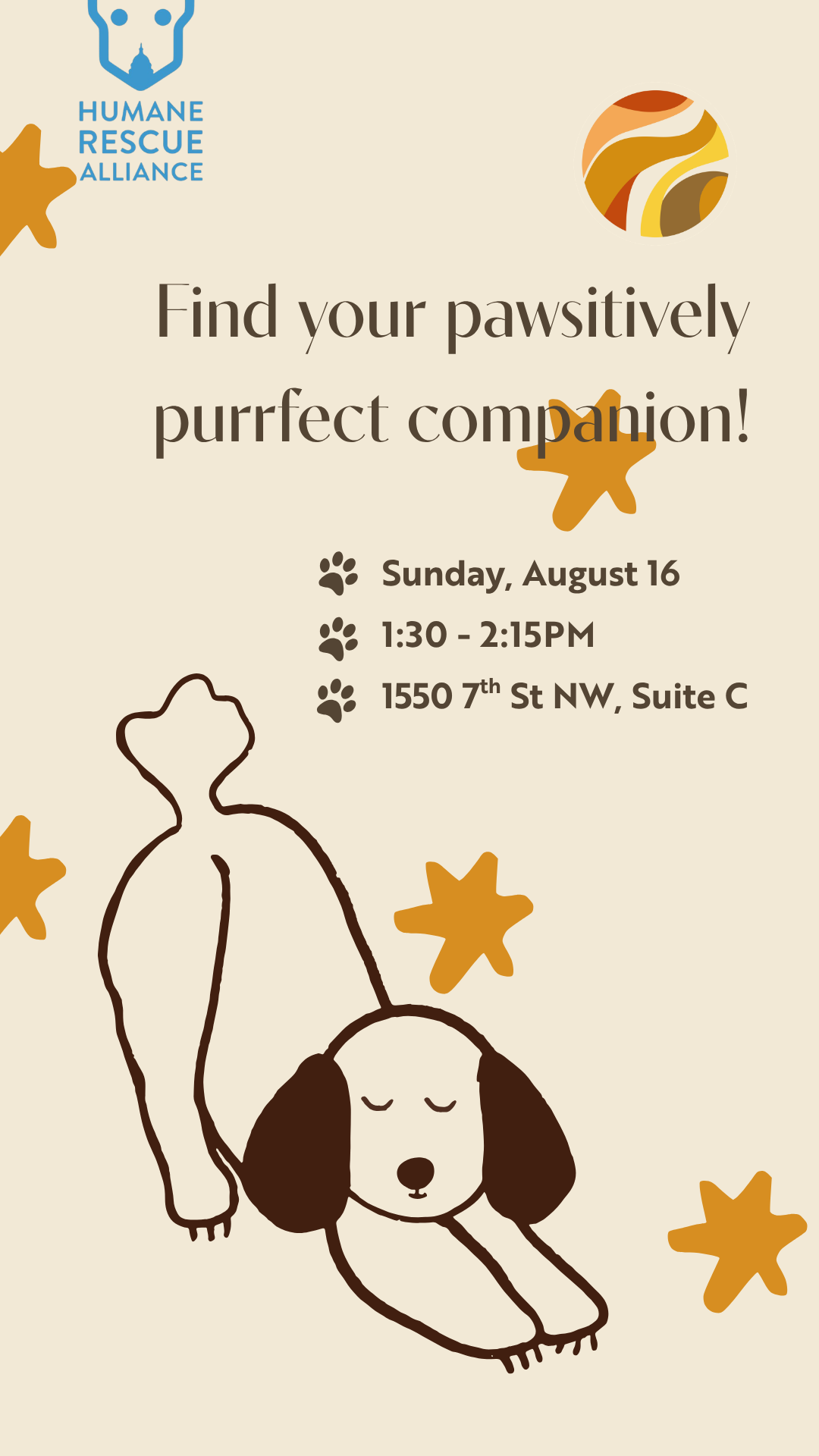 Flow with Adoptable Dogs | UDYC | August 16