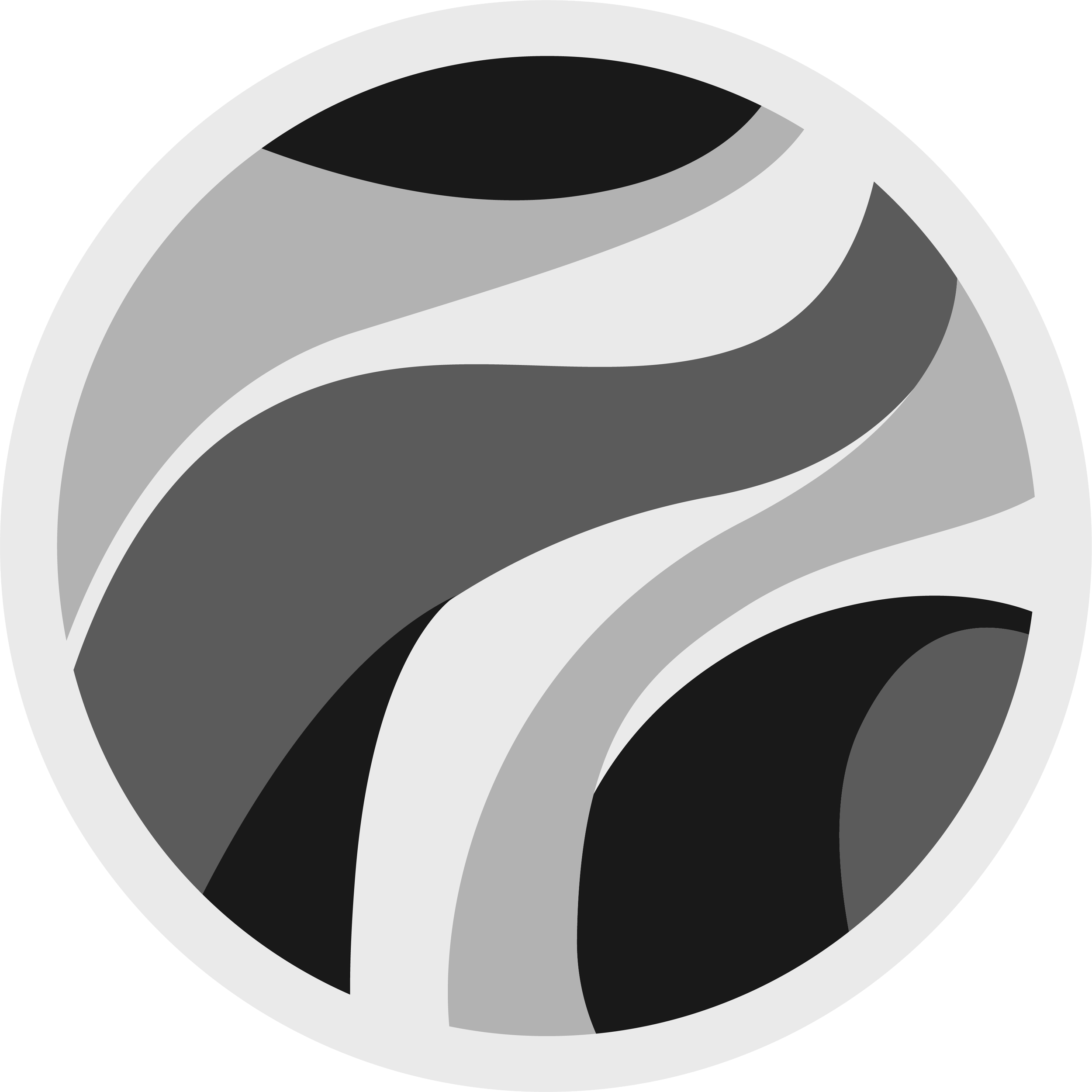 Black, white, and gray abstract swirling pattern in a circular shape.