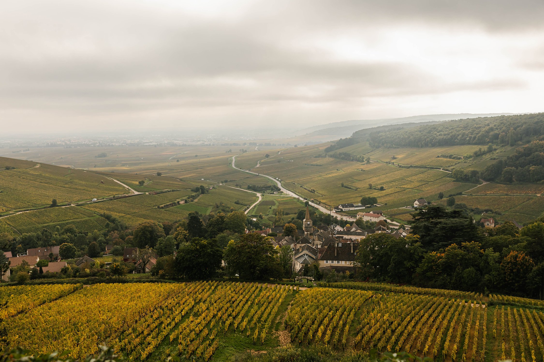 Amble_Burgundy-681.jpg (Copy)