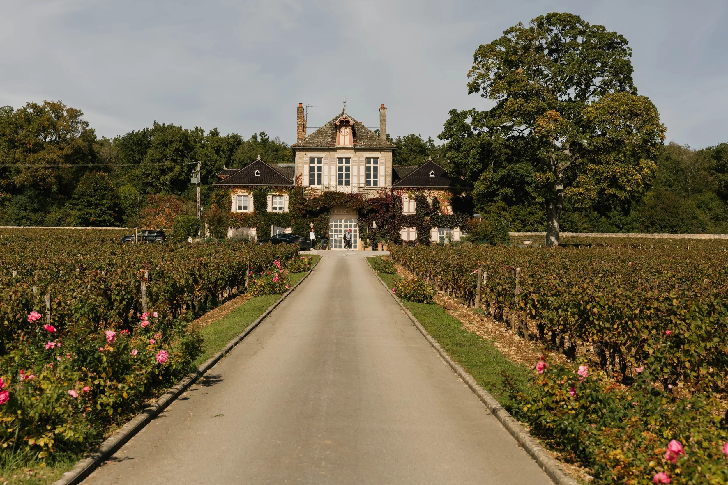Burgundy’s Local Legends: The People Who Open What Others Can’t