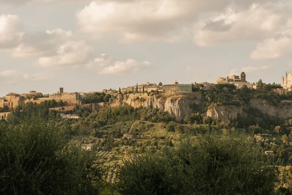 A panoramic view of the historic city of Orvieto with ancient stone buildings and greenery, under a partly cloudy sky.