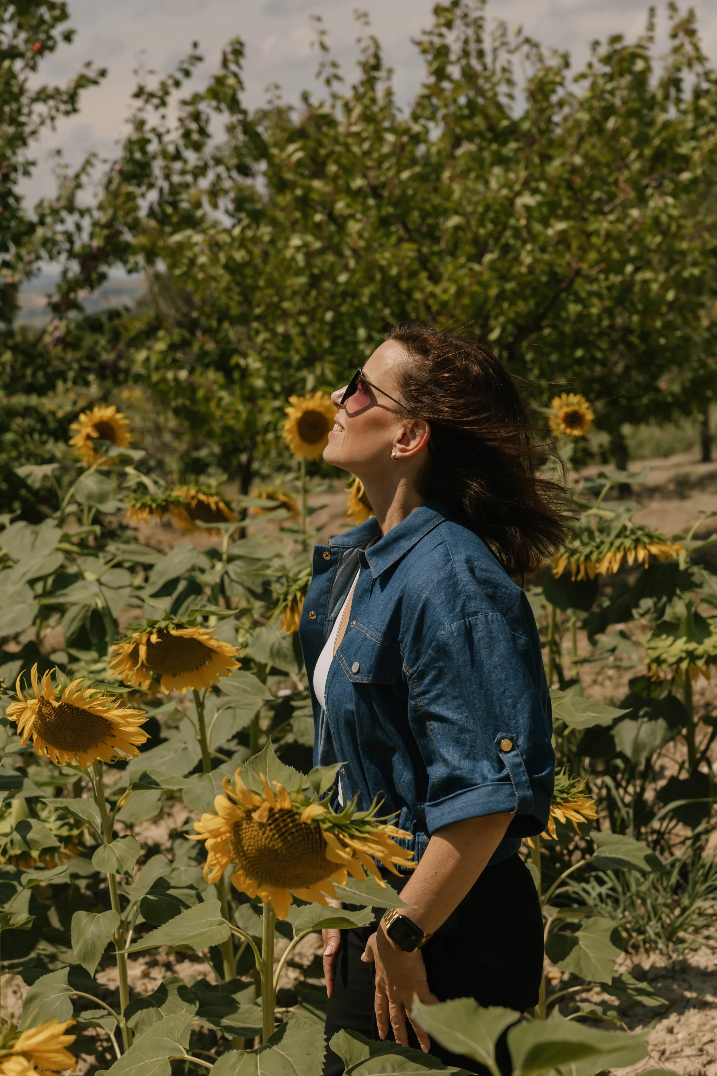 Travelling to Umbria in July means enjoying the beauty of Sunflower season