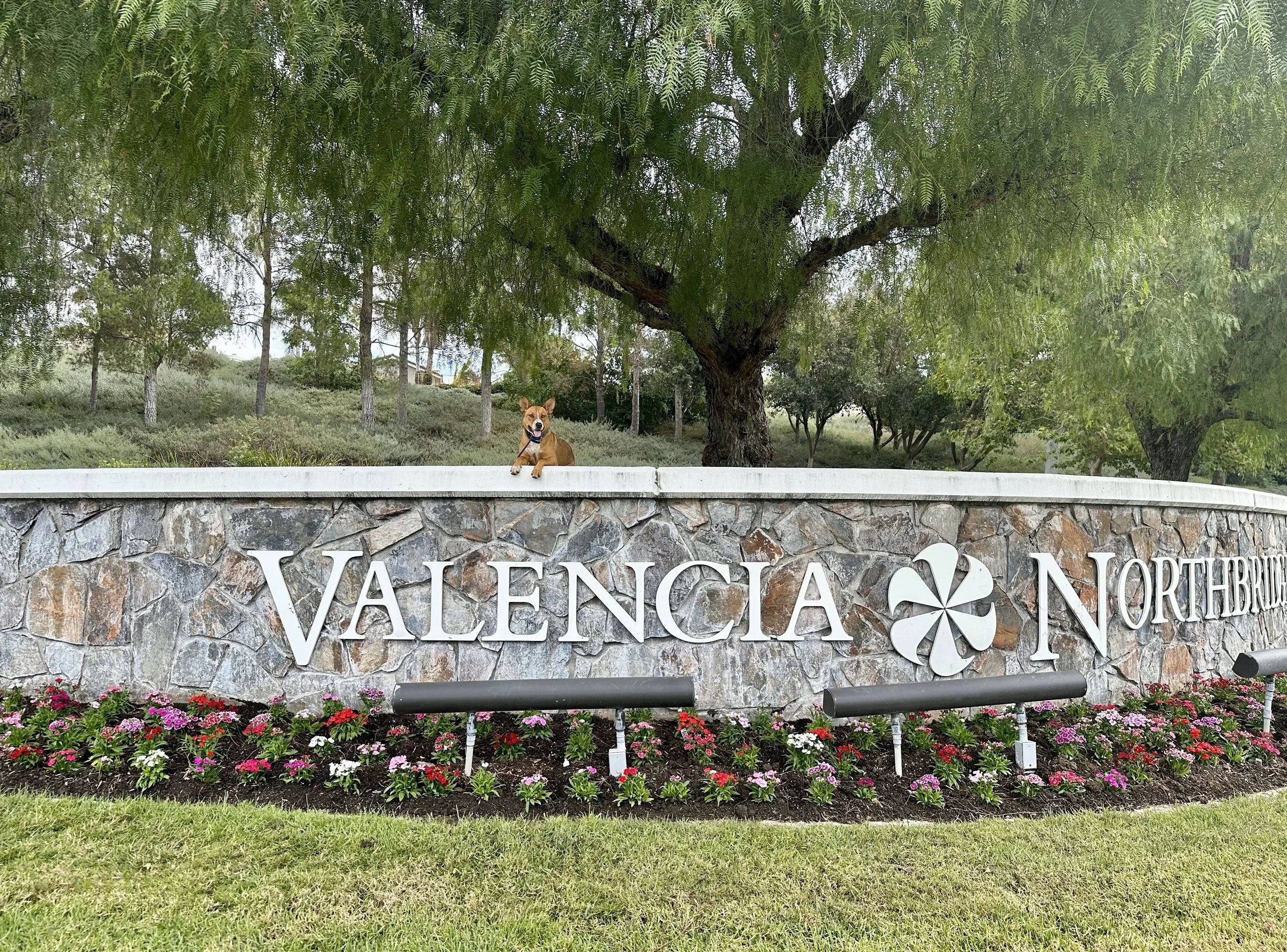 Valencia Heritage Park Pack Walk