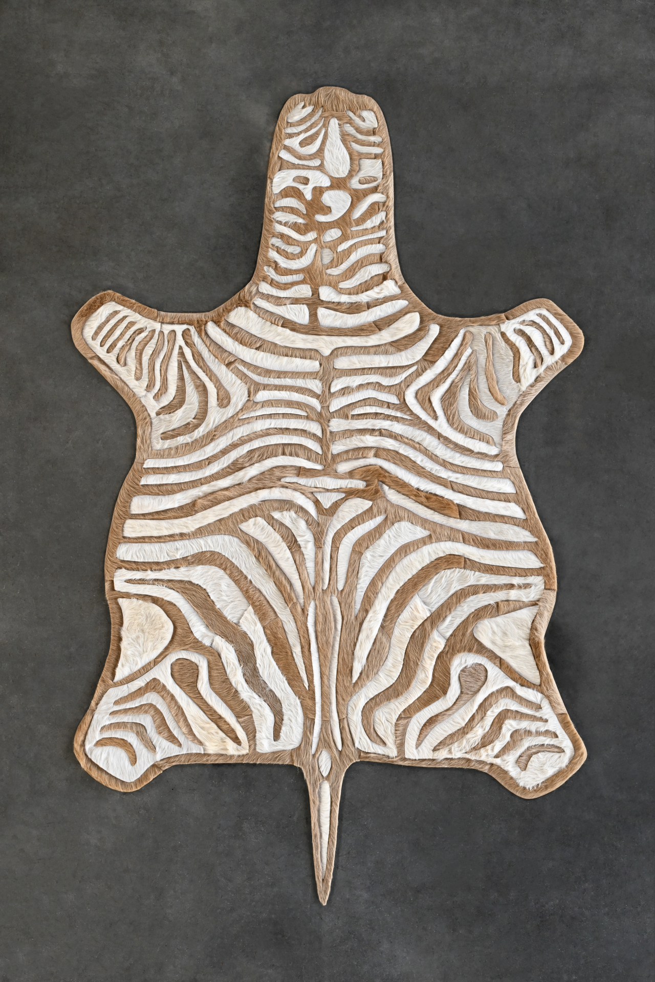 _Flat_02112026-Zebra-Project-CP-16332-MO-05515-Output-DSC_1716-.png
