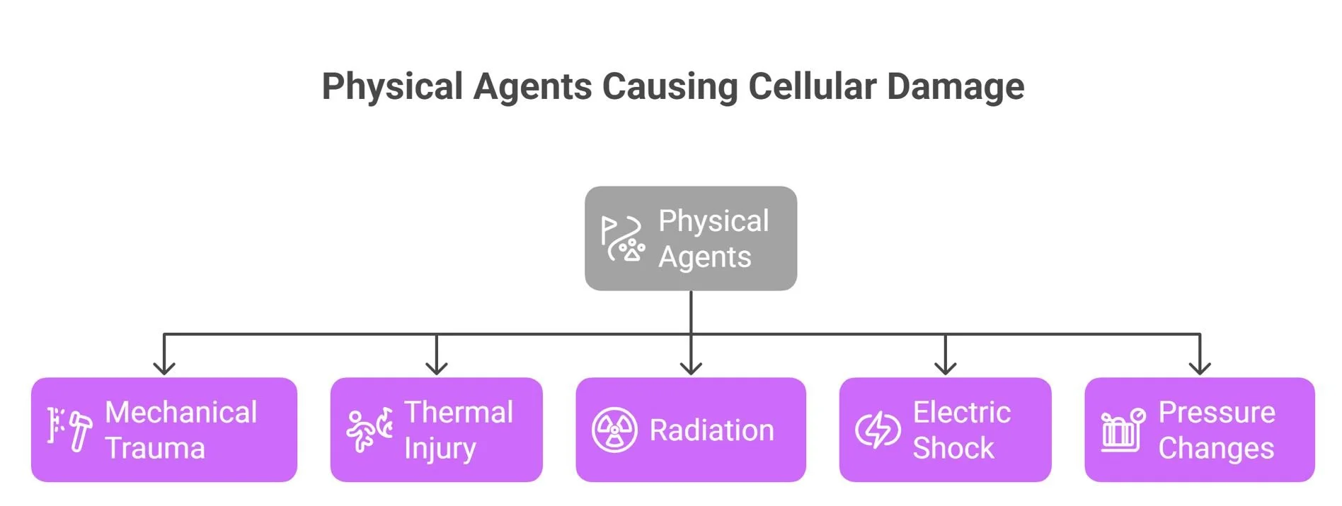 Cell Injury and Cell Death — Mybigstep USMLE Exam Preparation